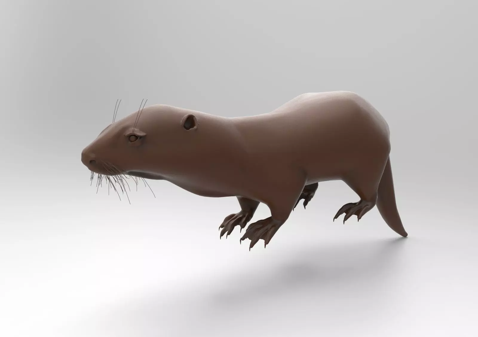 Otter 3D print model