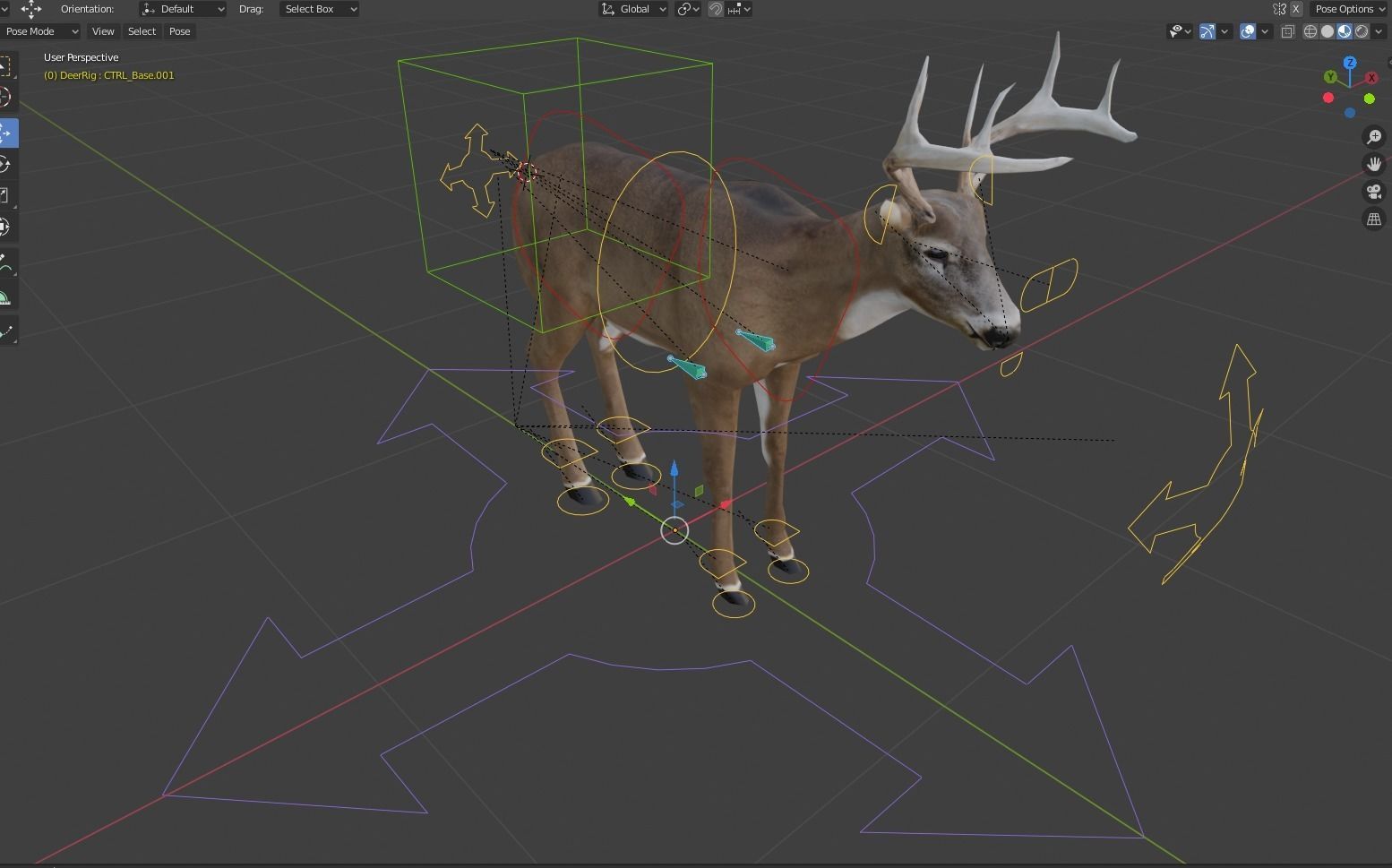 White-Tailed Deer Low-poly 3D model_8