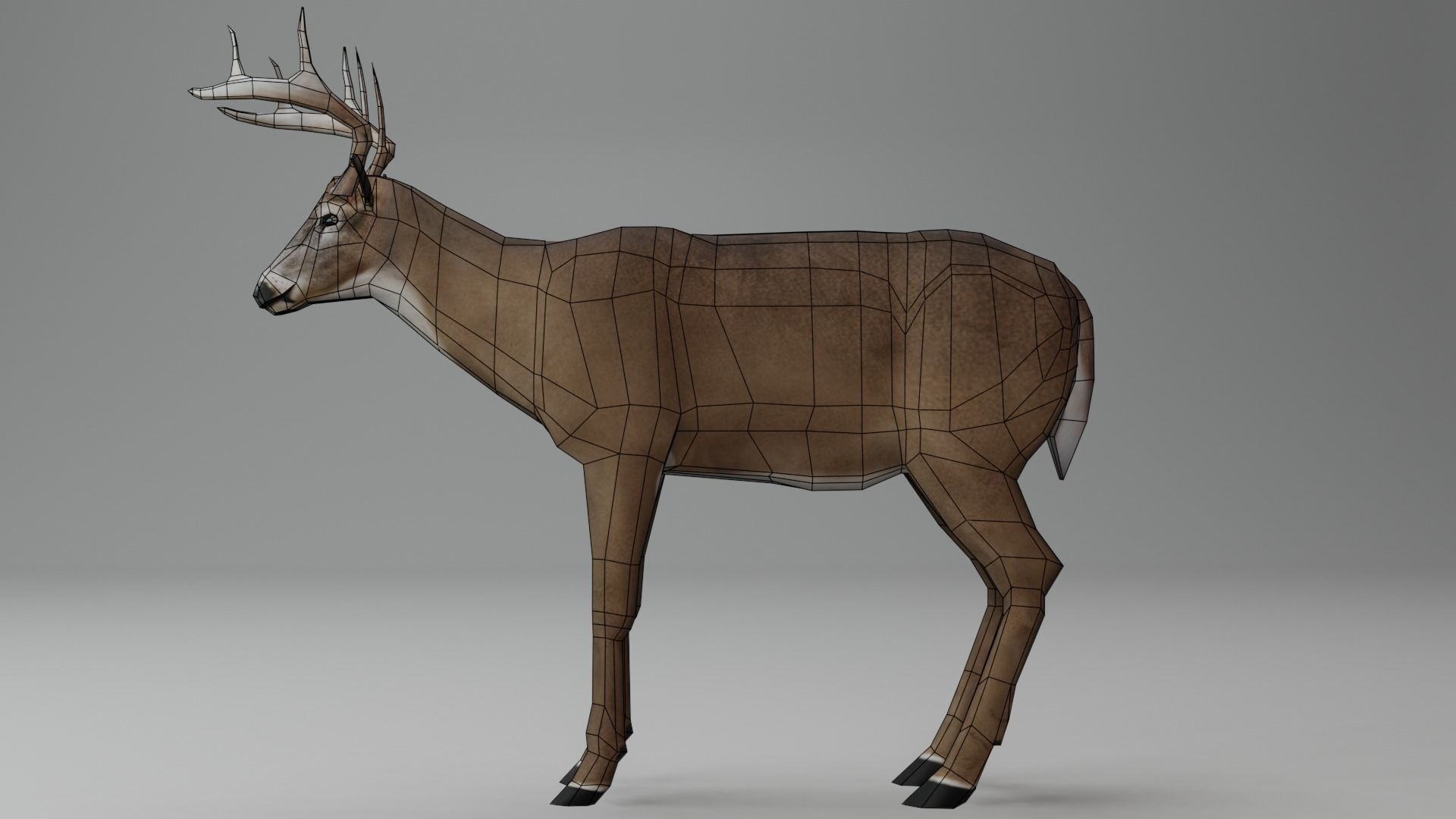 White-Tailed Deer Low-poly 3D model_7