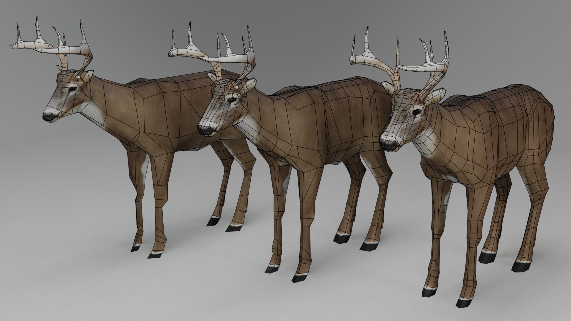 White-Tailed Deer Low-poly 3D model_2