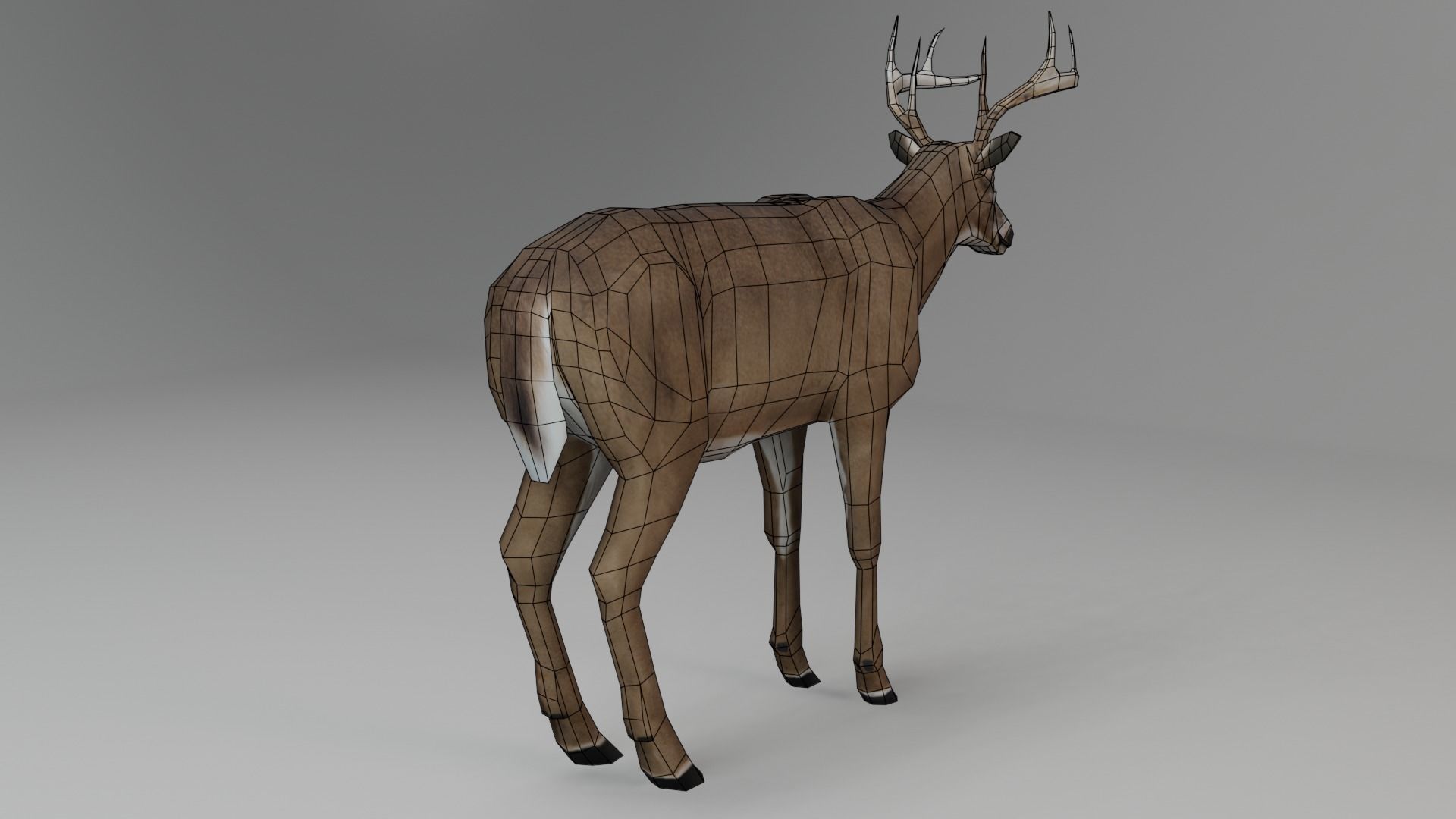 White-Tailed Deer Low-poly 3D model_5