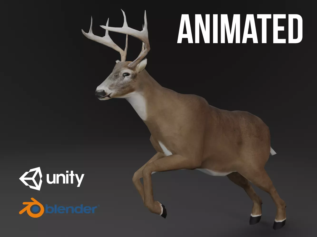 White-Tailed Deer Low-poly 3D model_0