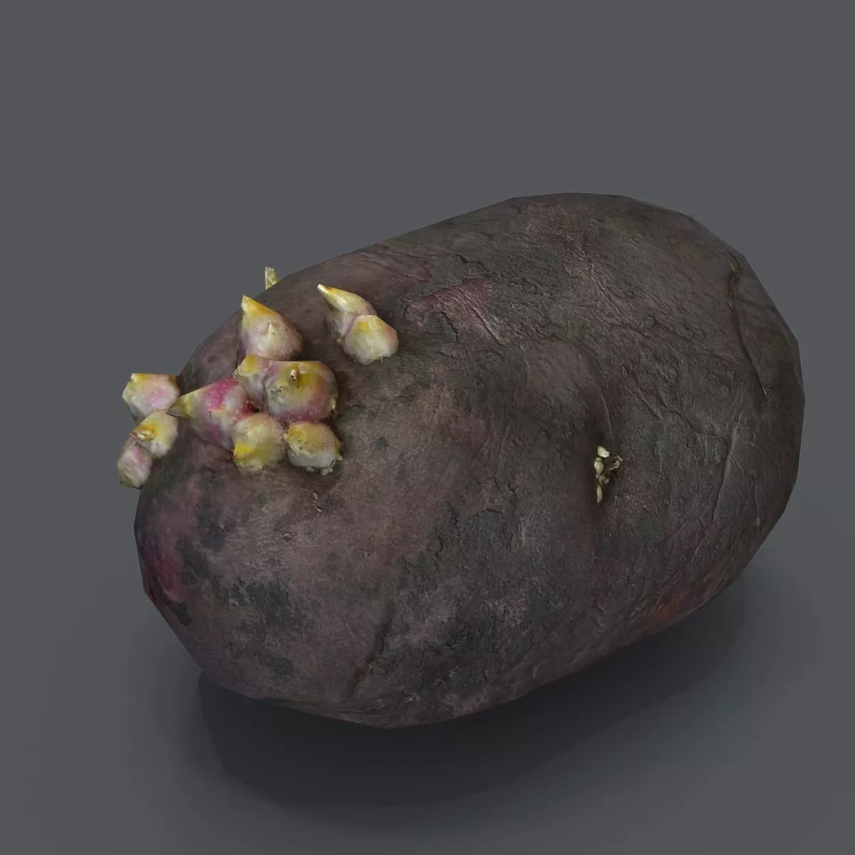 potato with sprouts Low-poly 3D model_0