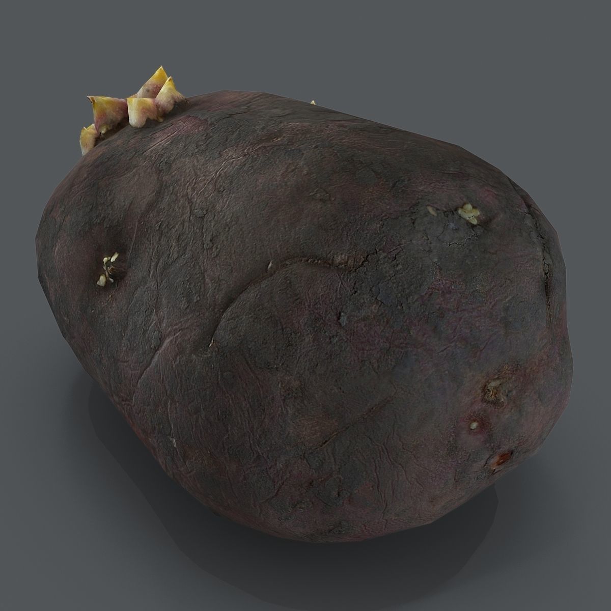 potato with sprouts Low-poly 3D model_3