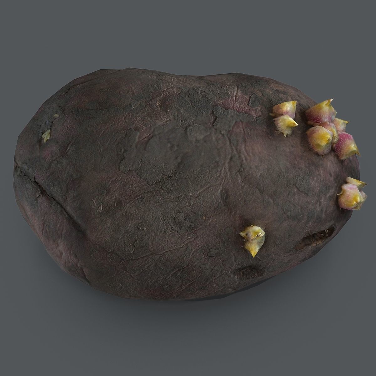 potato with sprouts Low-poly 3D model_2