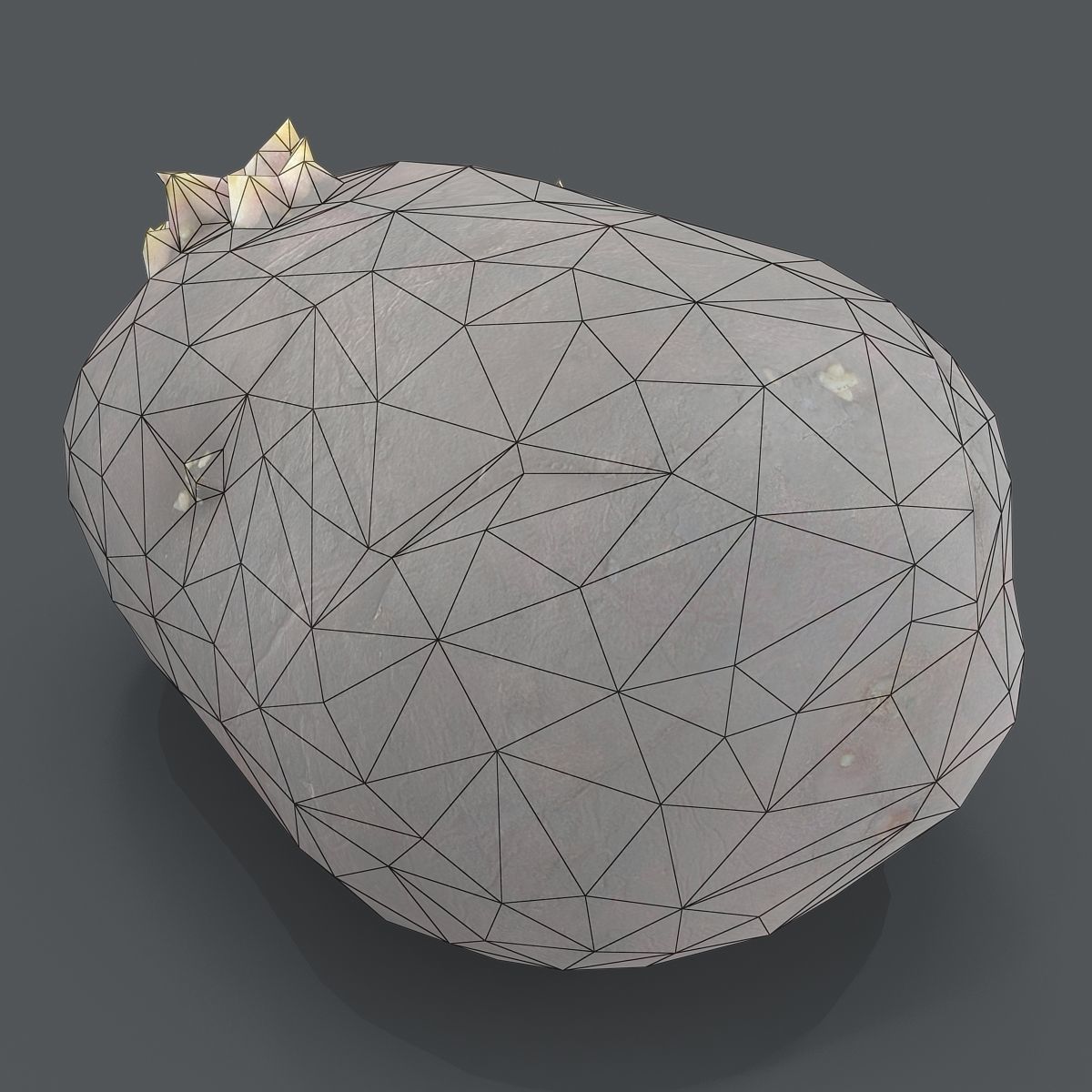 potato with sprouts Low-poly 3D model_7