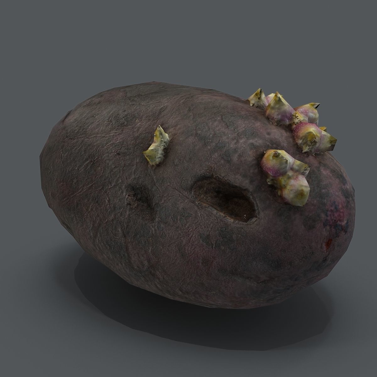 potato with sprouts Low-poly 3D model_1