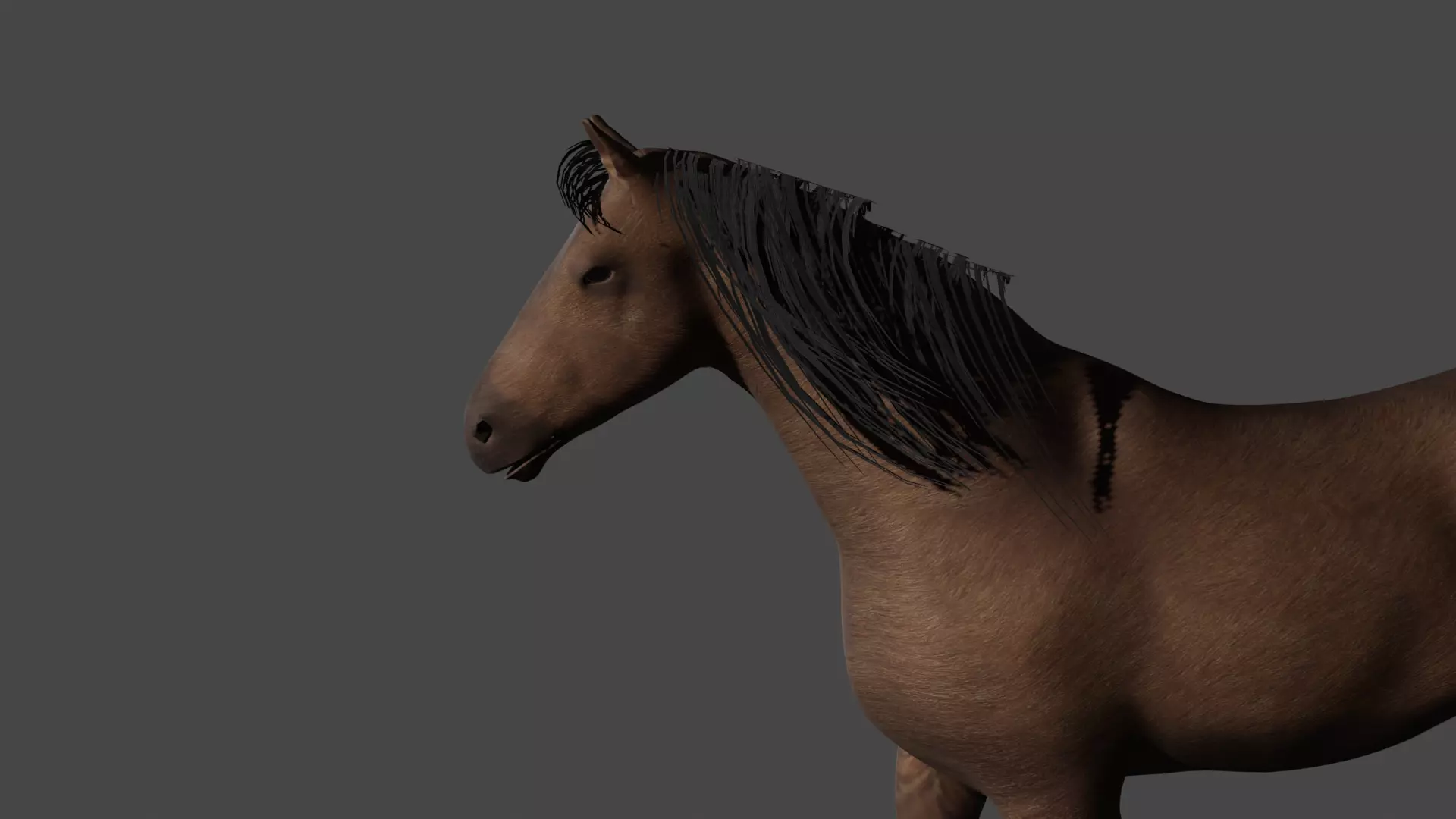 horse running Free 3D model