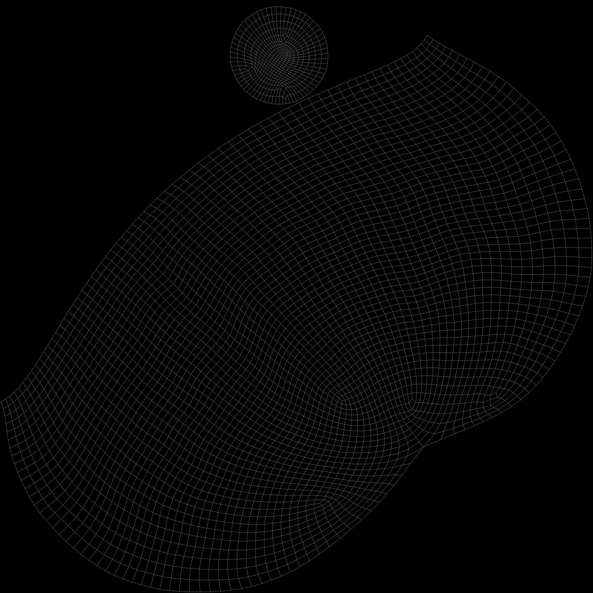 TURTLE sea Low-poly 3D model_33