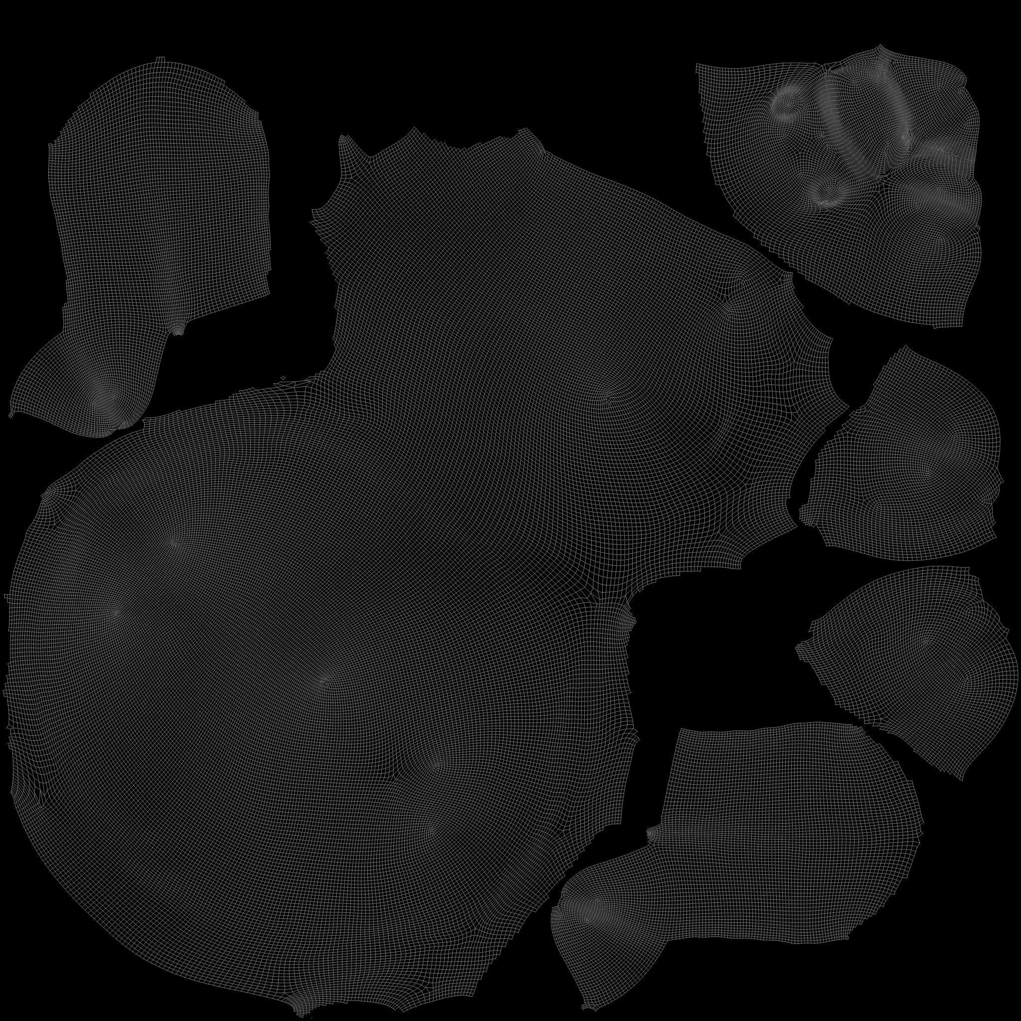 TURTLE sea Low-poly 3D model_28