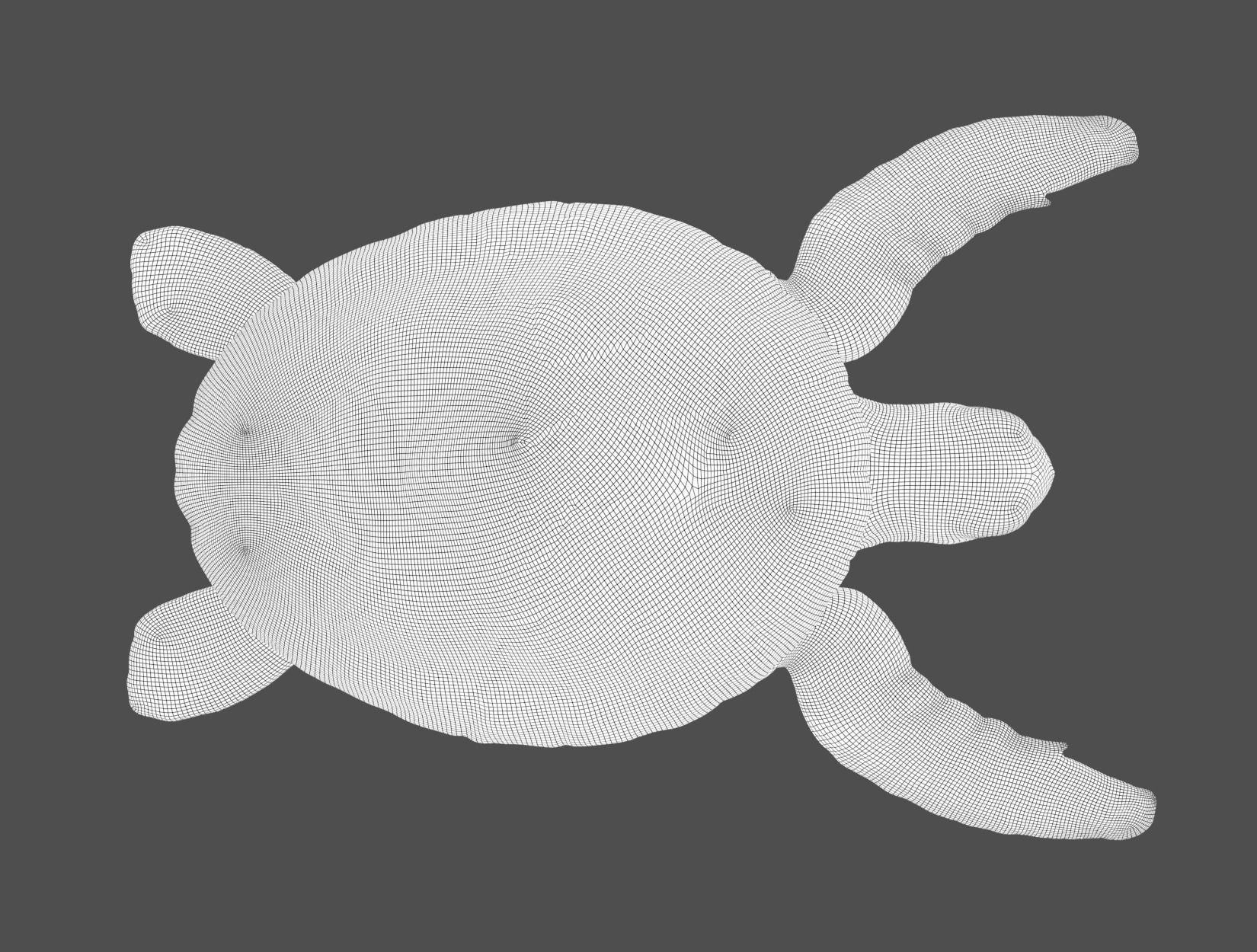 TURTLE sea Low-poly 3D model_29