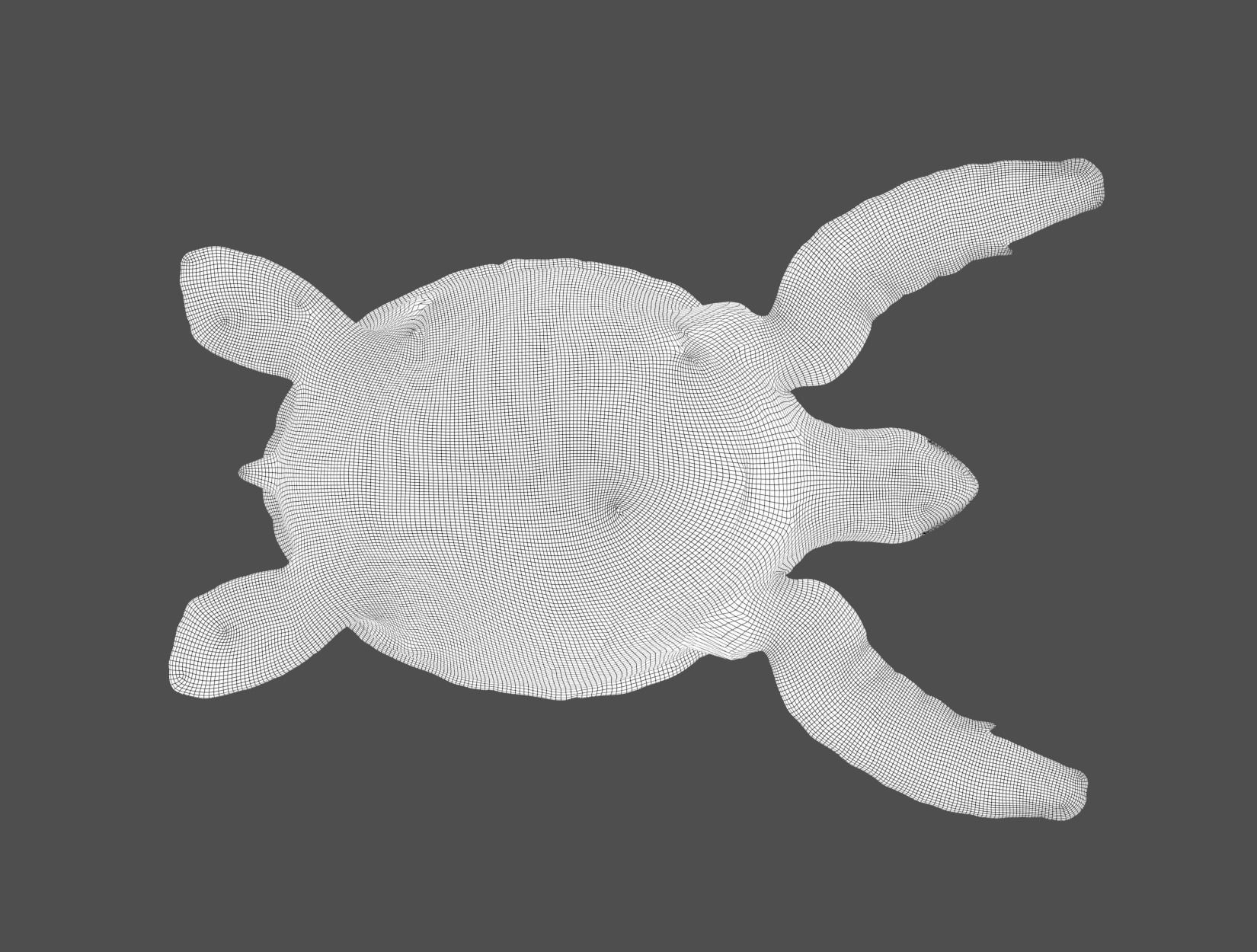 TURTLE sea Low-poly 3D model_30