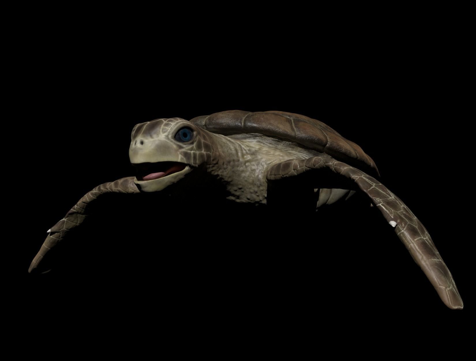 TURTLE sea Low-poly 3D model_10