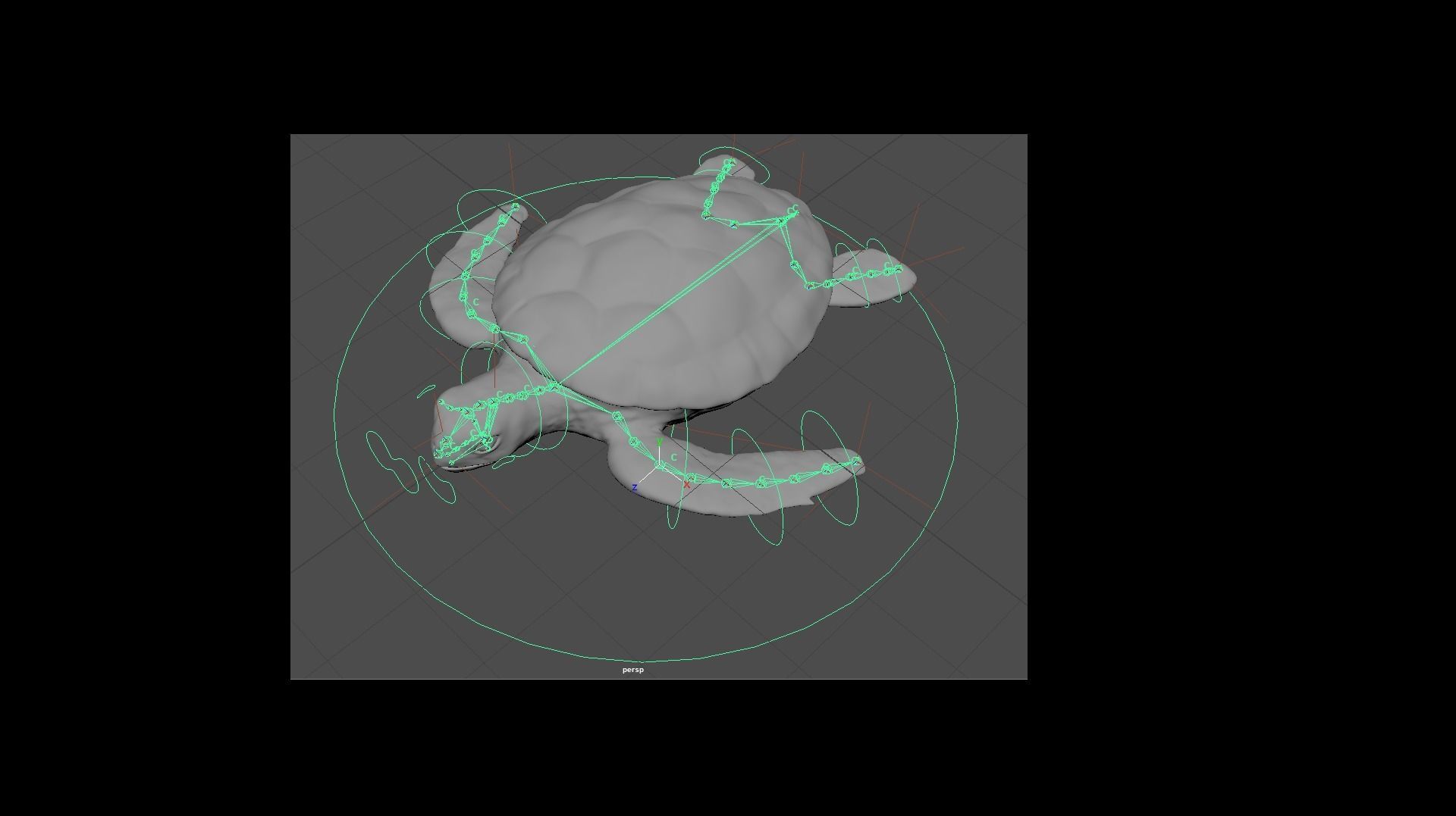 TURTLE sea Low-poly 3D model_31