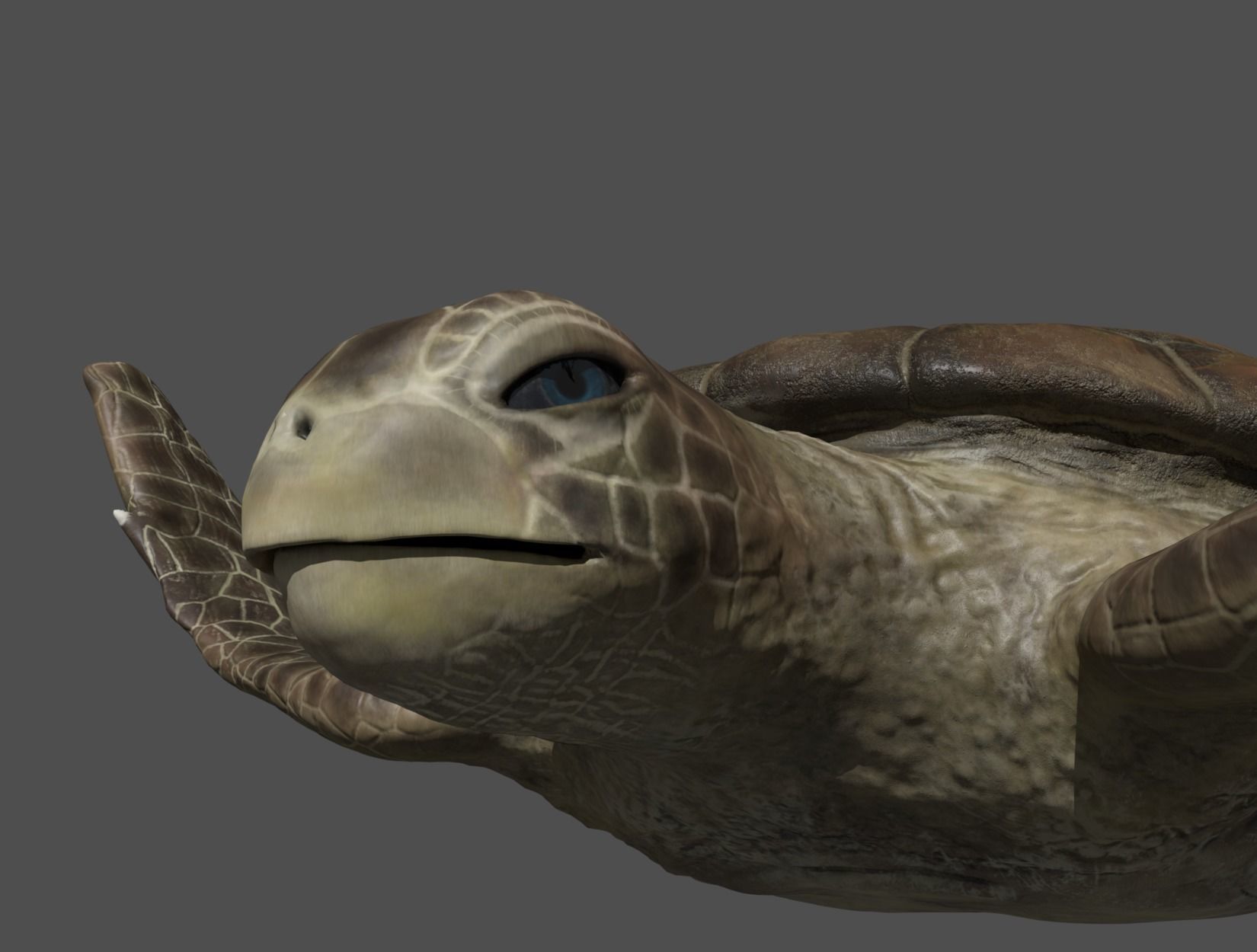 TURTLE sea Low-poly 3D model_2