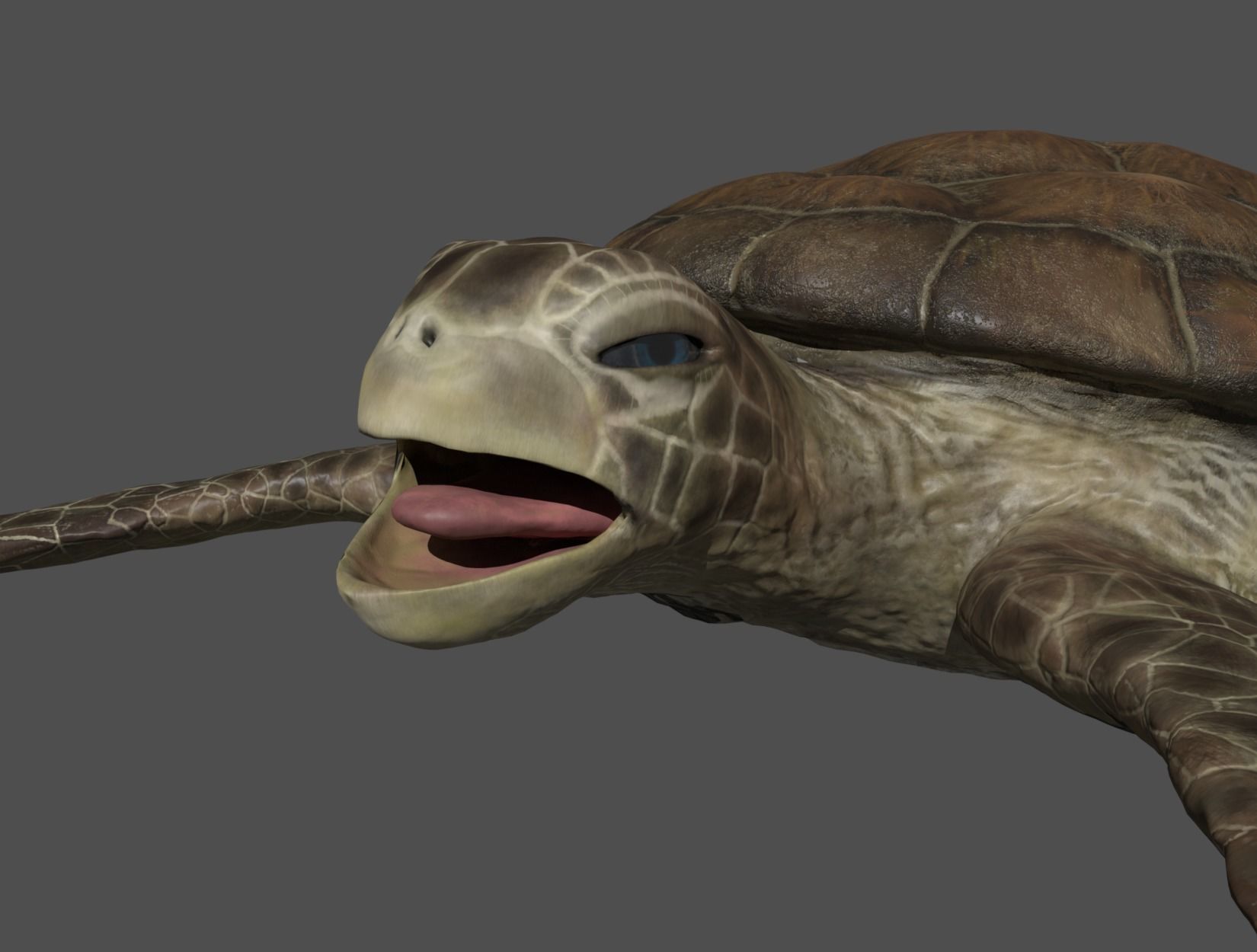 TURTLE sea Low-poly 3D model_26