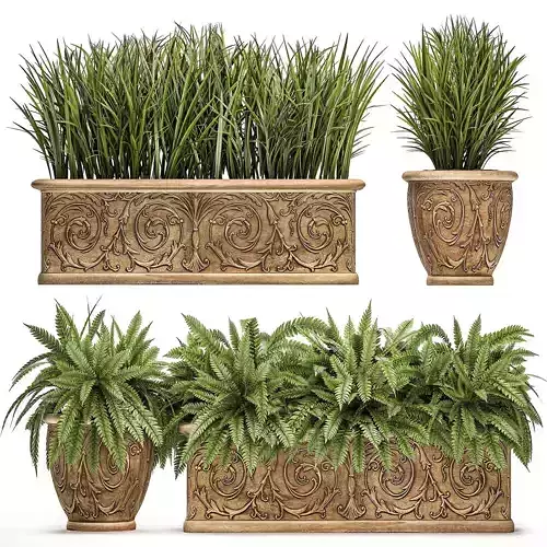 Ornamental bushes in classic flowerpots for parks and garden 494