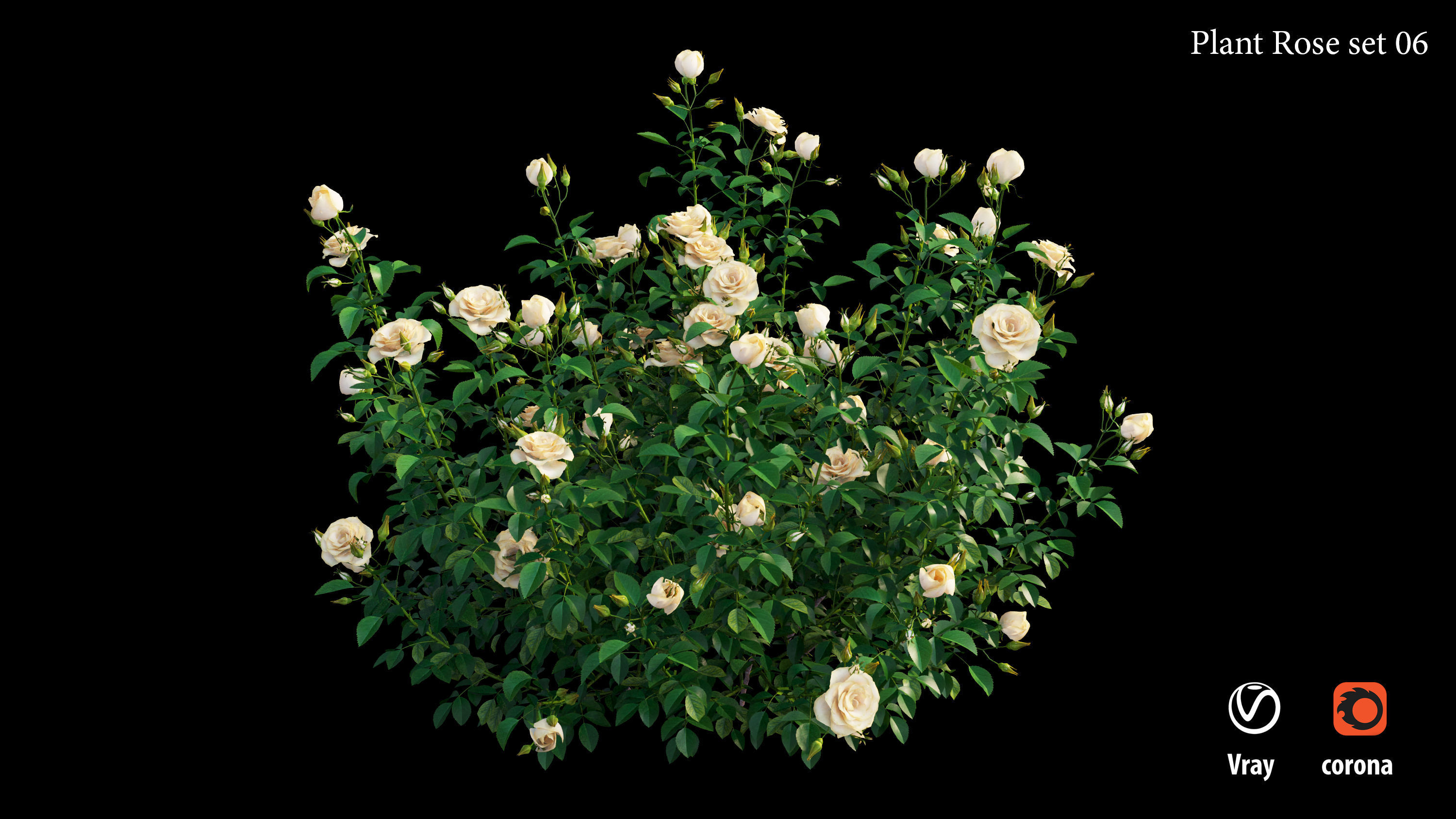 Plant rose set 07 3D model_7