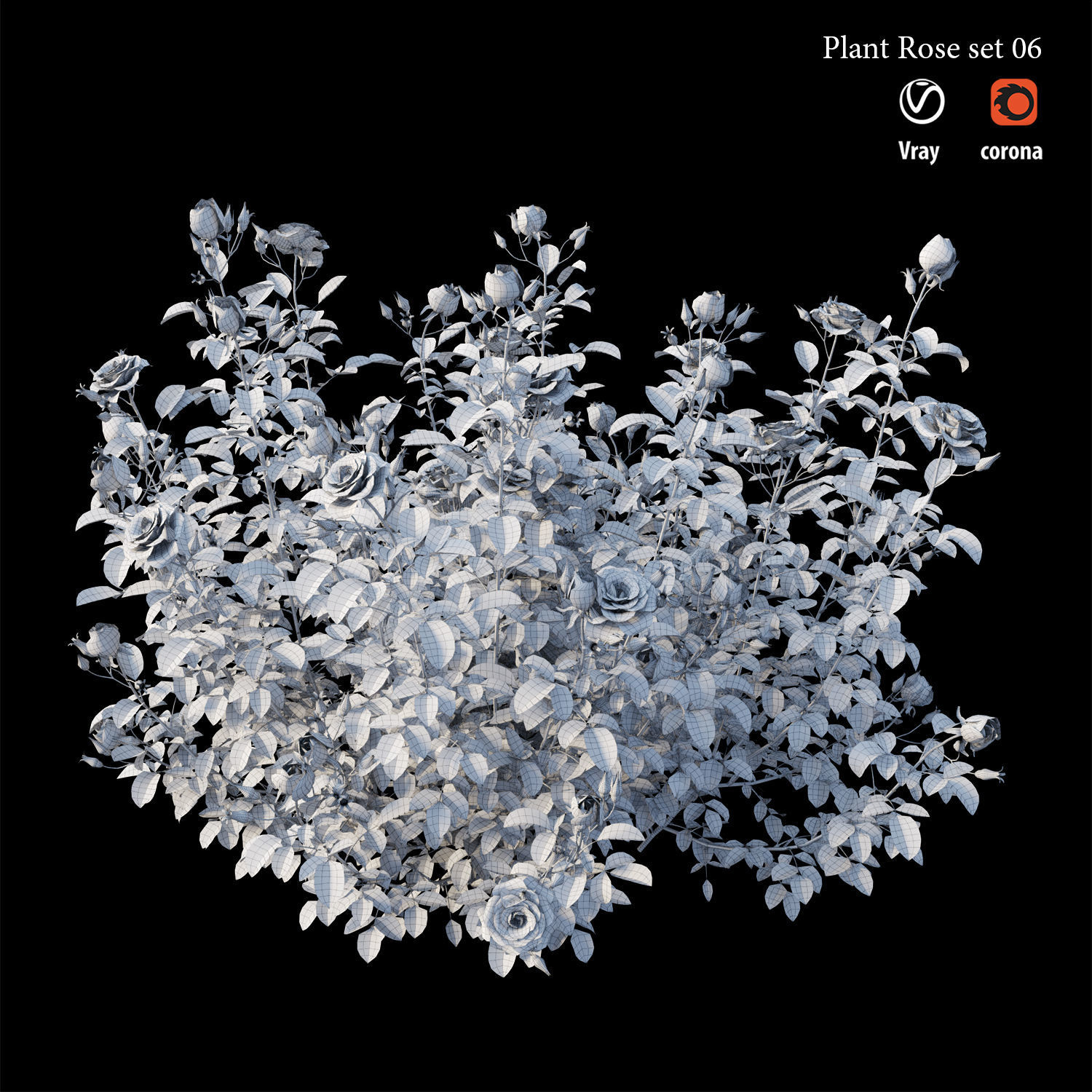 Plant rose set 07 3D model_4