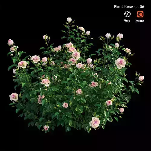 Plant rose set 07 3D model
