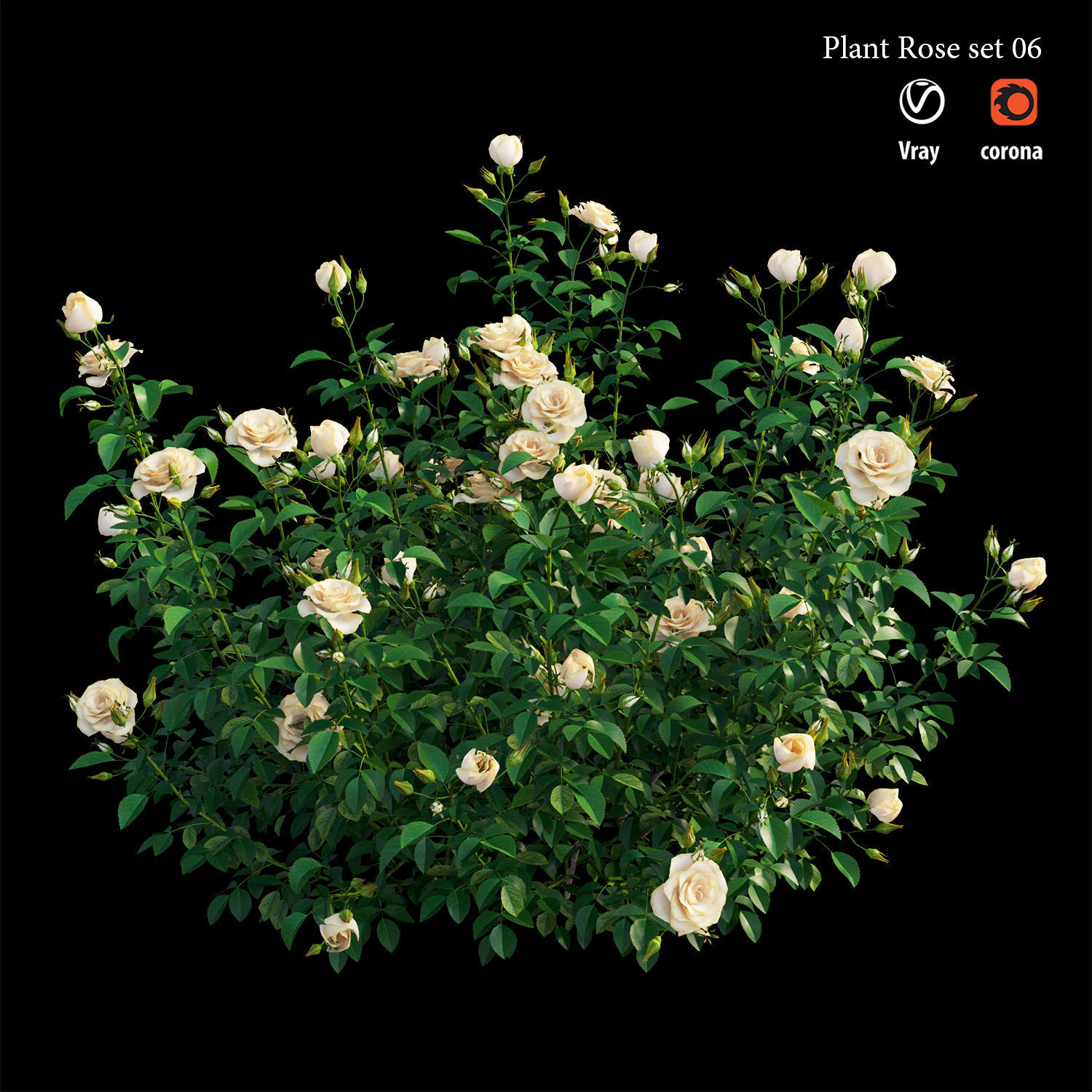 Plant rose set 07 3D model_2