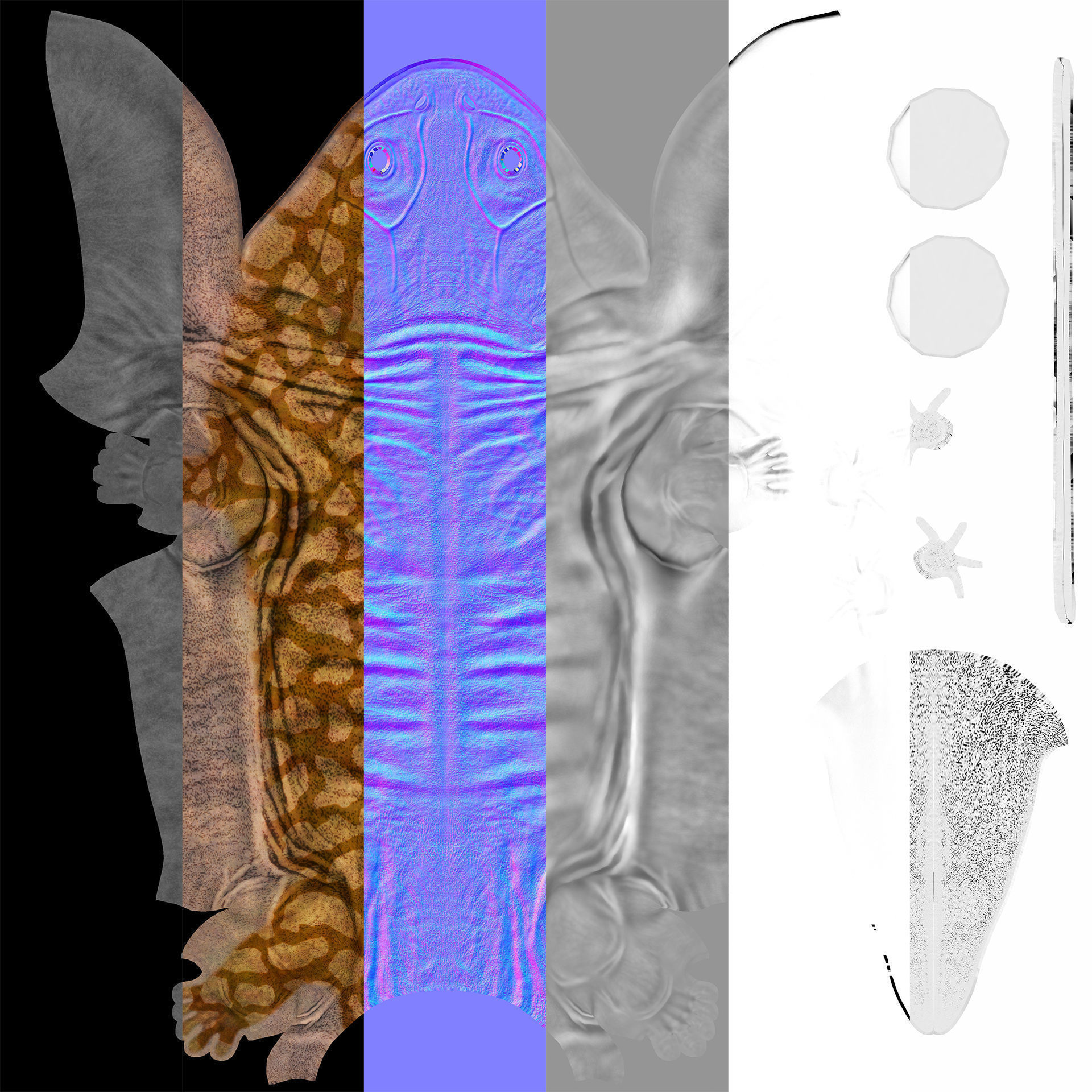 Extinct animals pack version 9 Low-poly 3D model_105