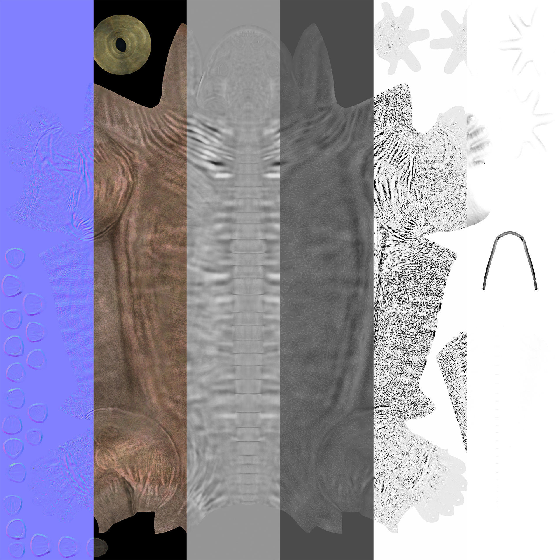 Extinct animals pack version 9 Low-poly 3D model_91