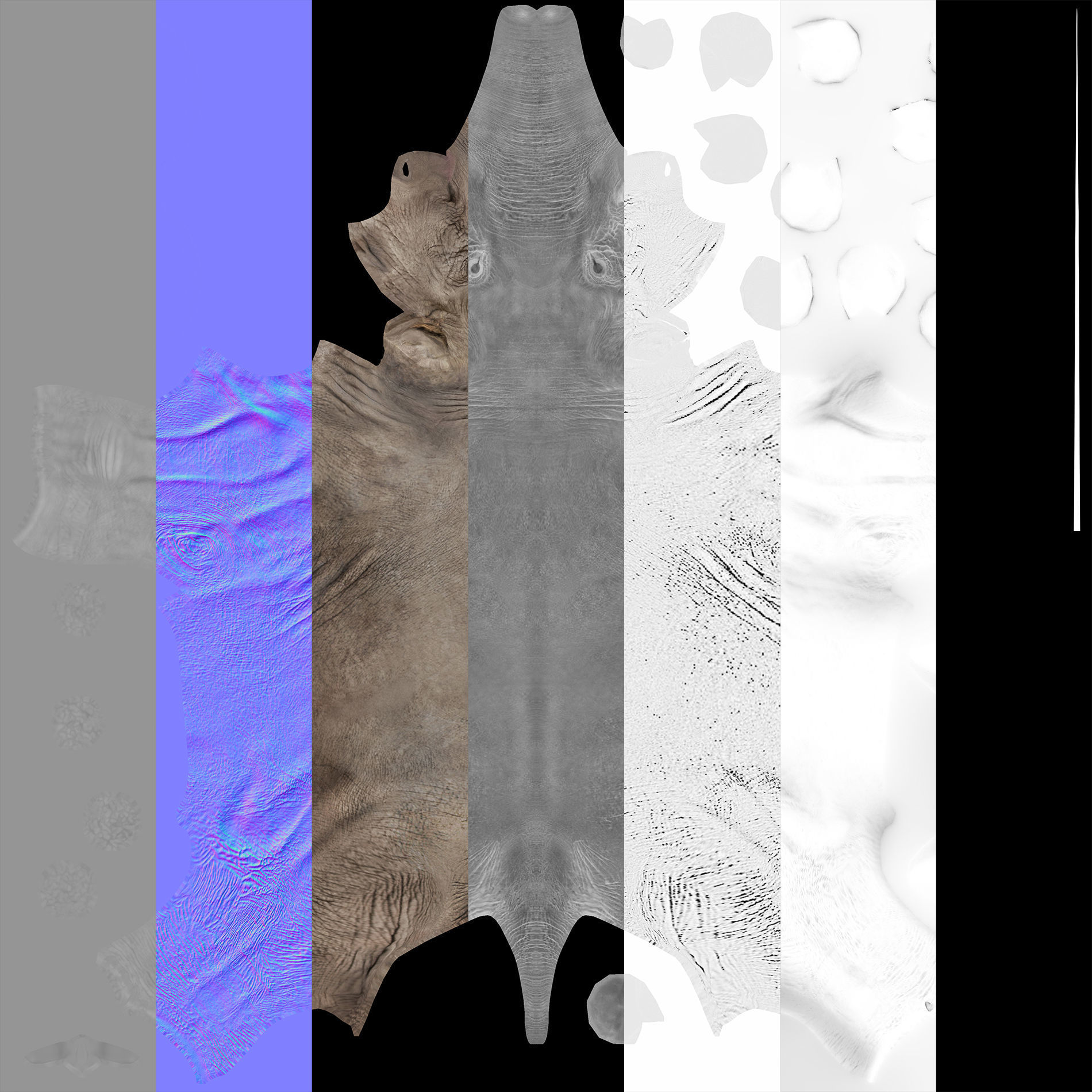 Extinct animals pack version 9 Low-poly 3D model_26