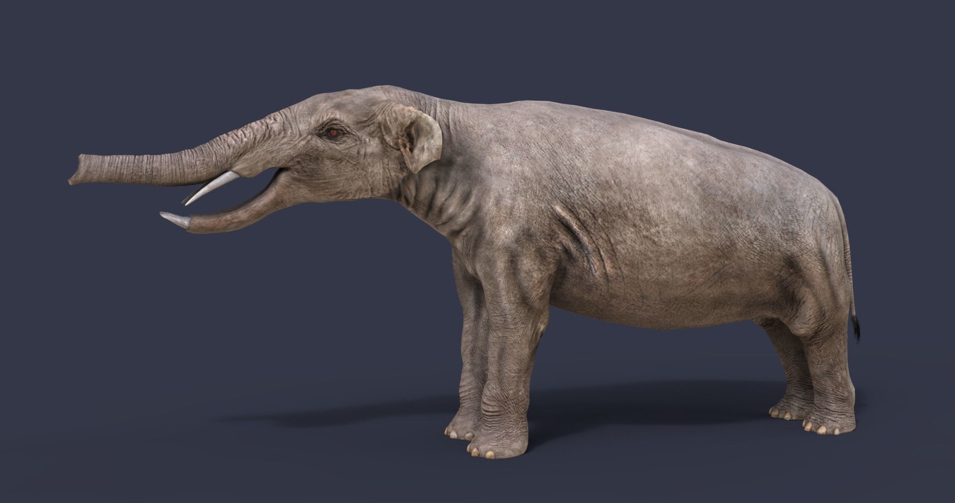 Extinct animals pack version 9 Low-poly 3D model_2