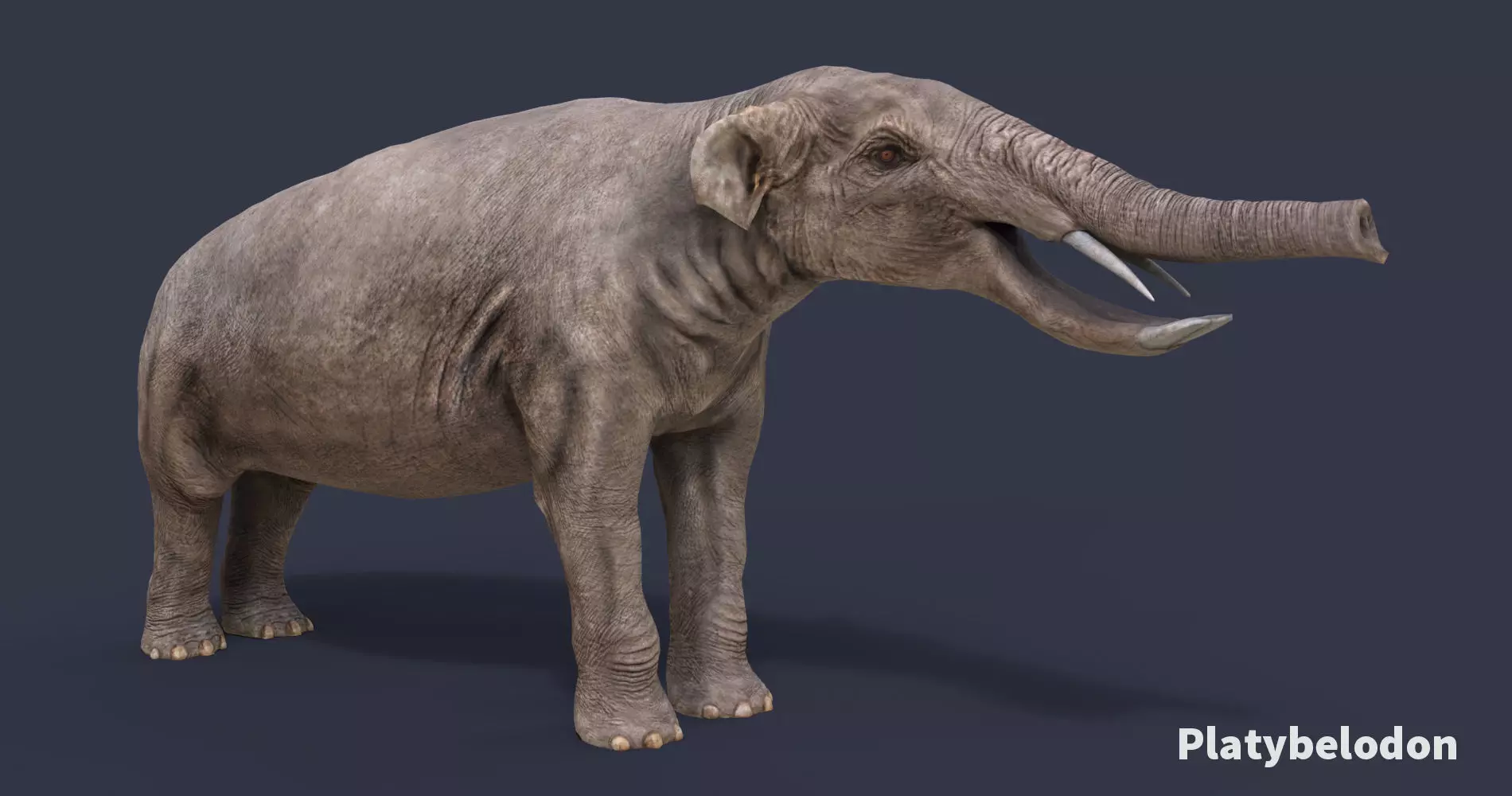 Extinct animals pack version 9 Low-poly 3D model_0