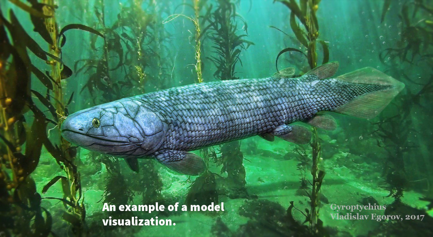 Extinct animals pack version 9 Low-poly 3D model_32