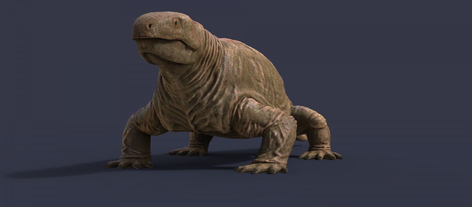 Extinct animals pack version 9 Low-poly 3D model_88