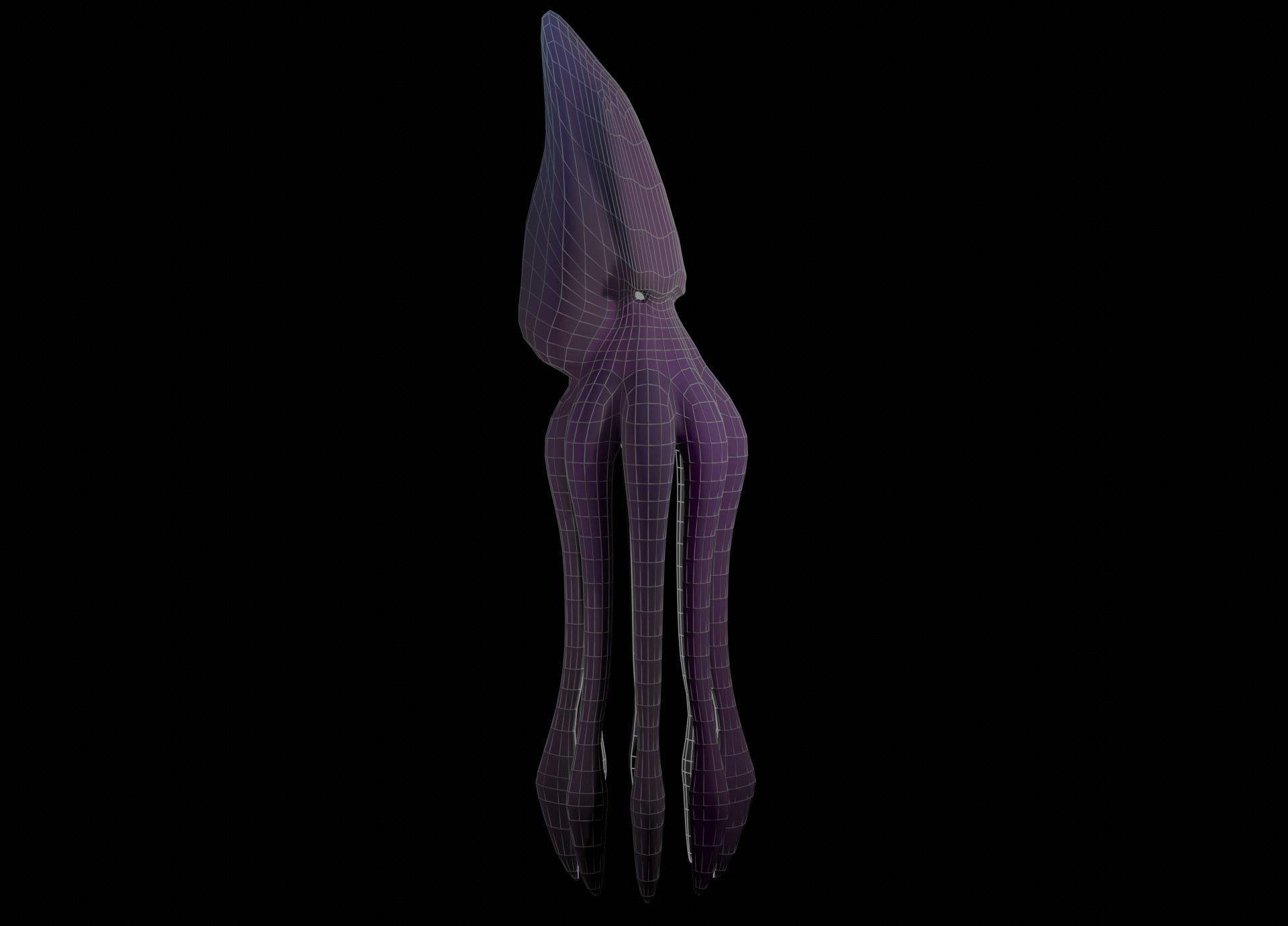 Low Poly Giant Squid Low-poly 3D model_33