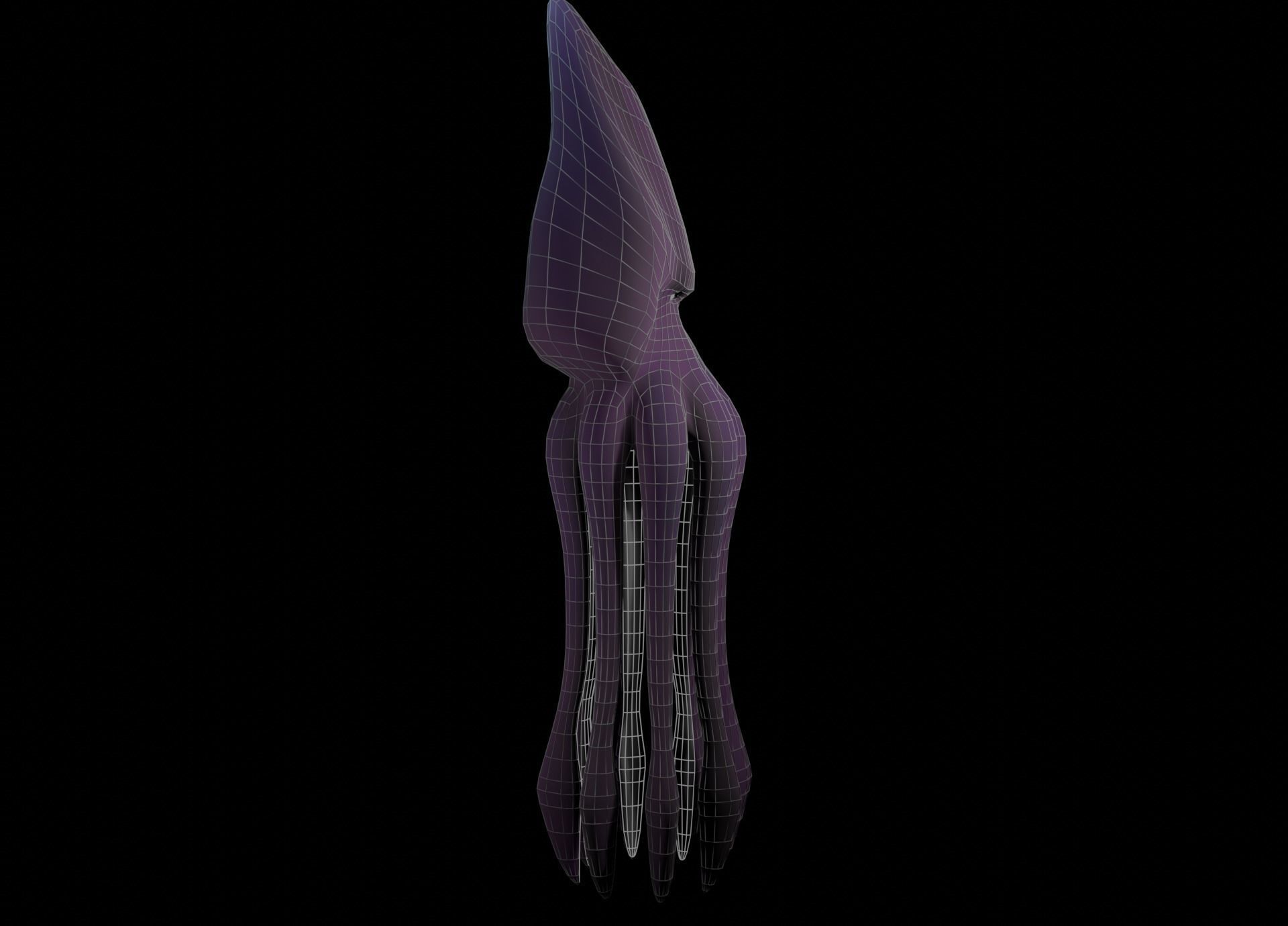 Low Poly Giant Squid Low-poly 3D model_37