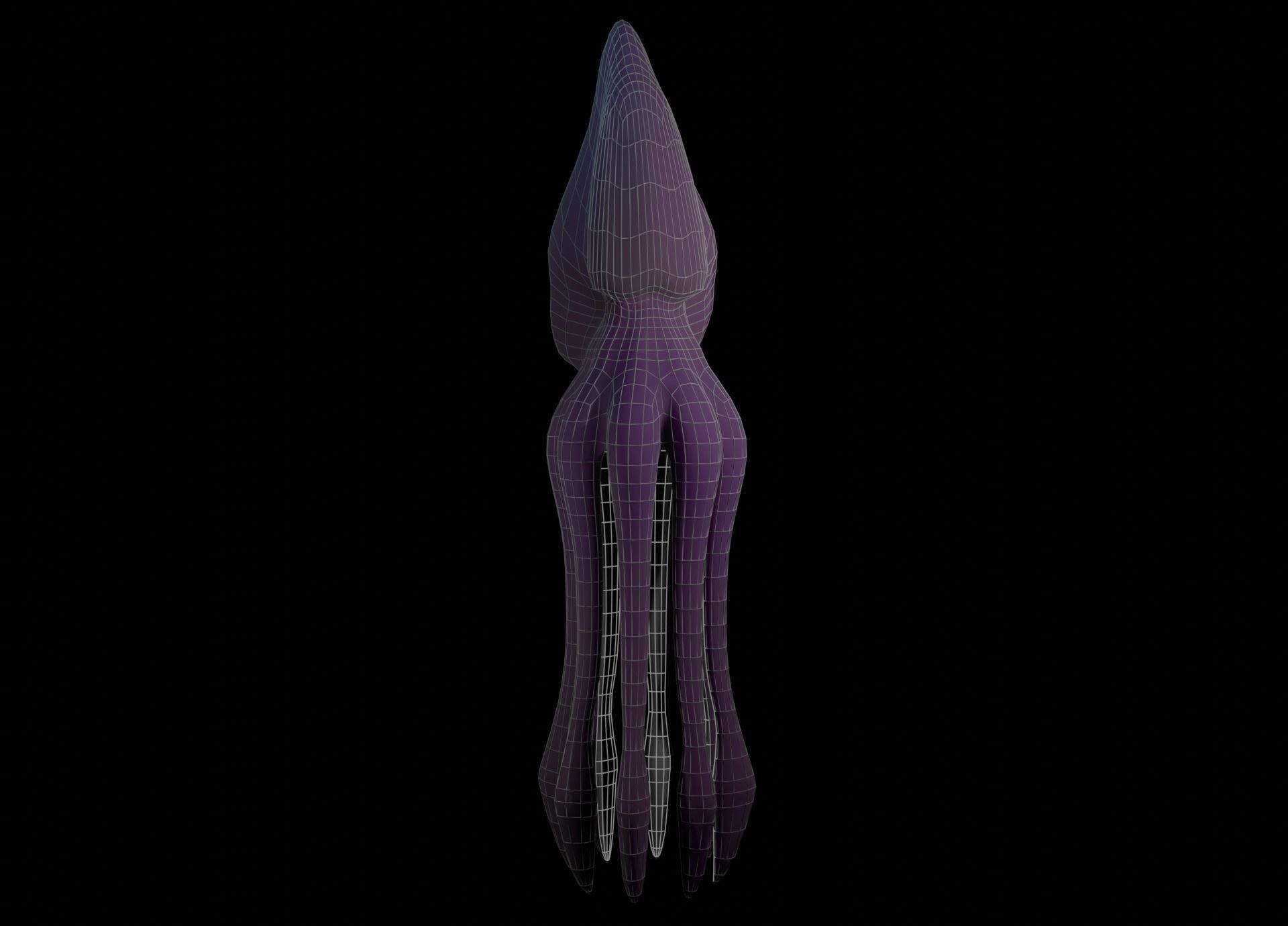 Low Poly Giant Squid Low-poly 3D model_29