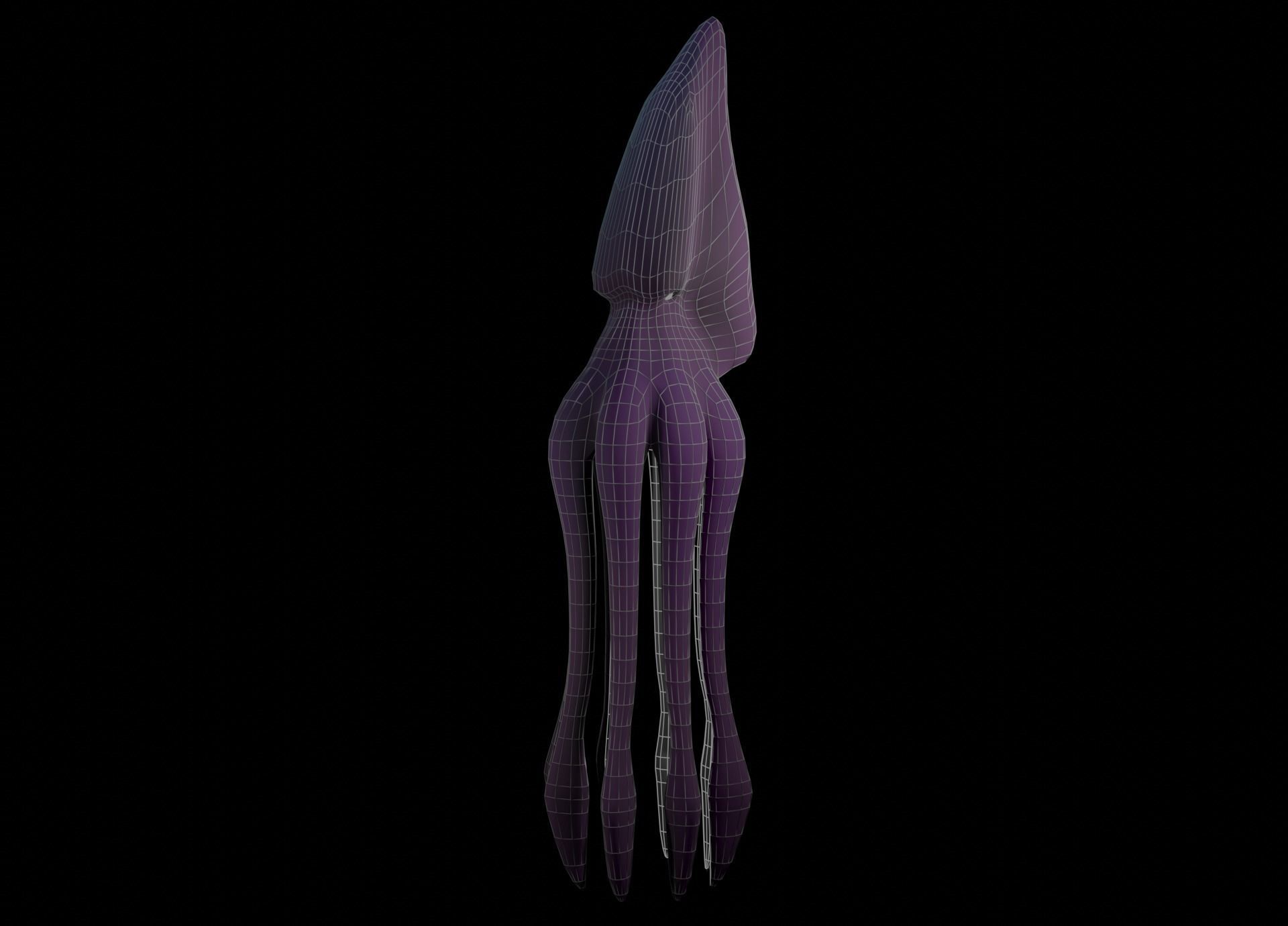 Low Poly Giant Squid Low-poly 3D model_51