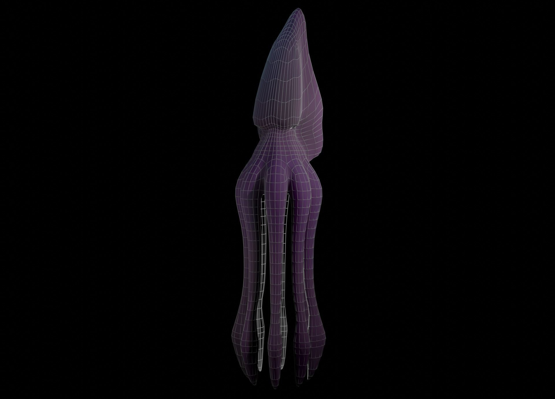 Low Poly Giant Squid Low-poly 3D model_52