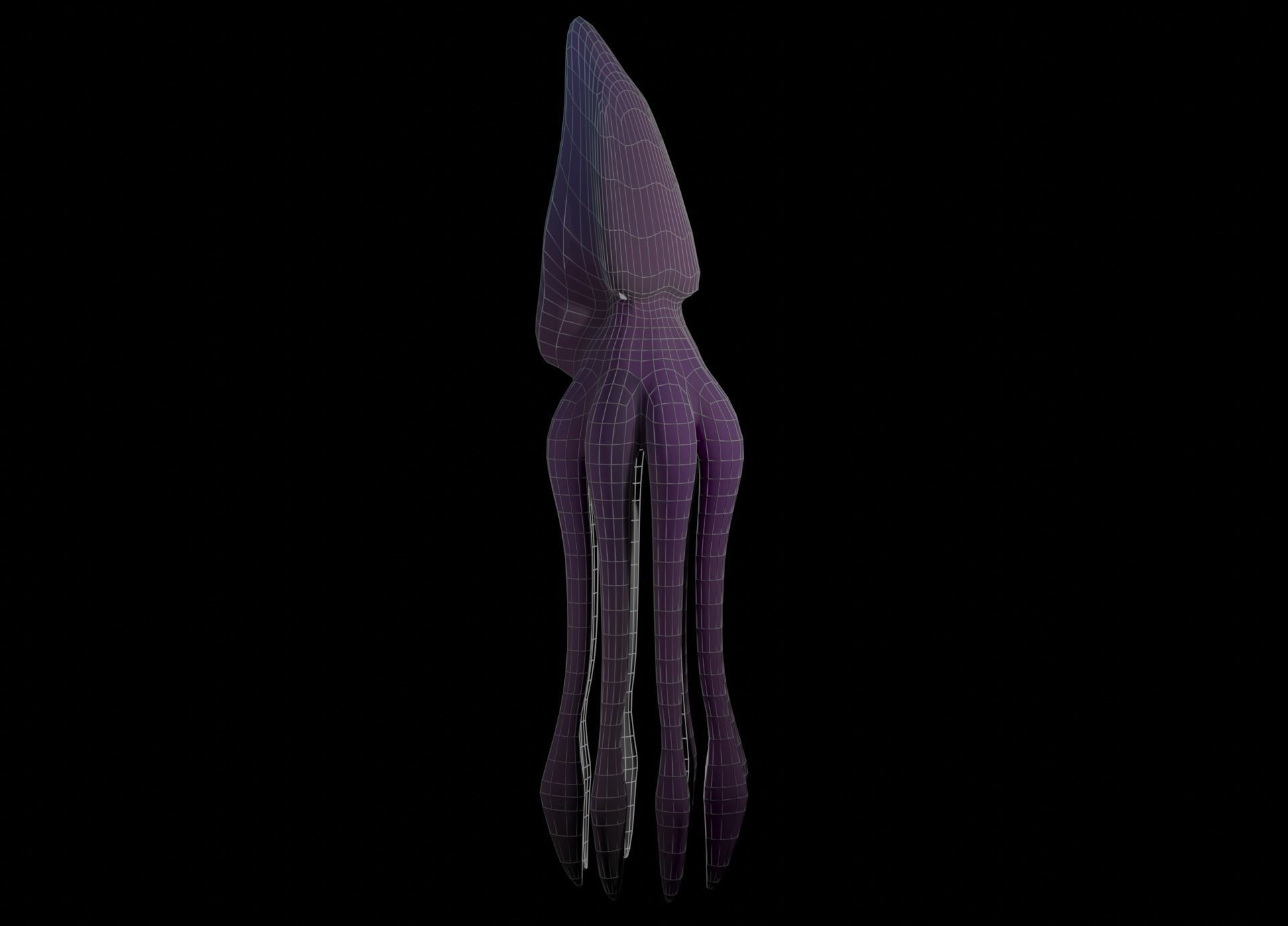 Low Poly Giant Squid Low-poly 3D model_31