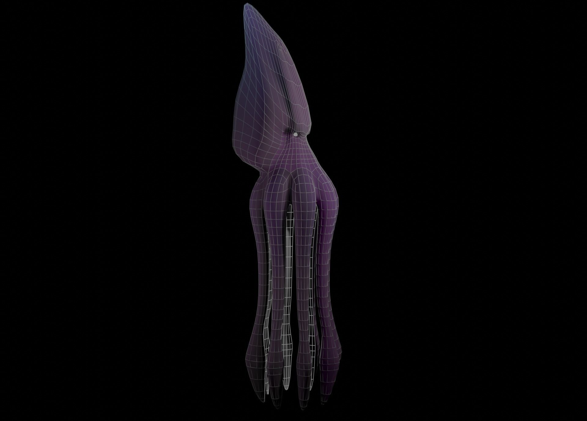 Low Poly Giant Squid Low-poly 3D model_34