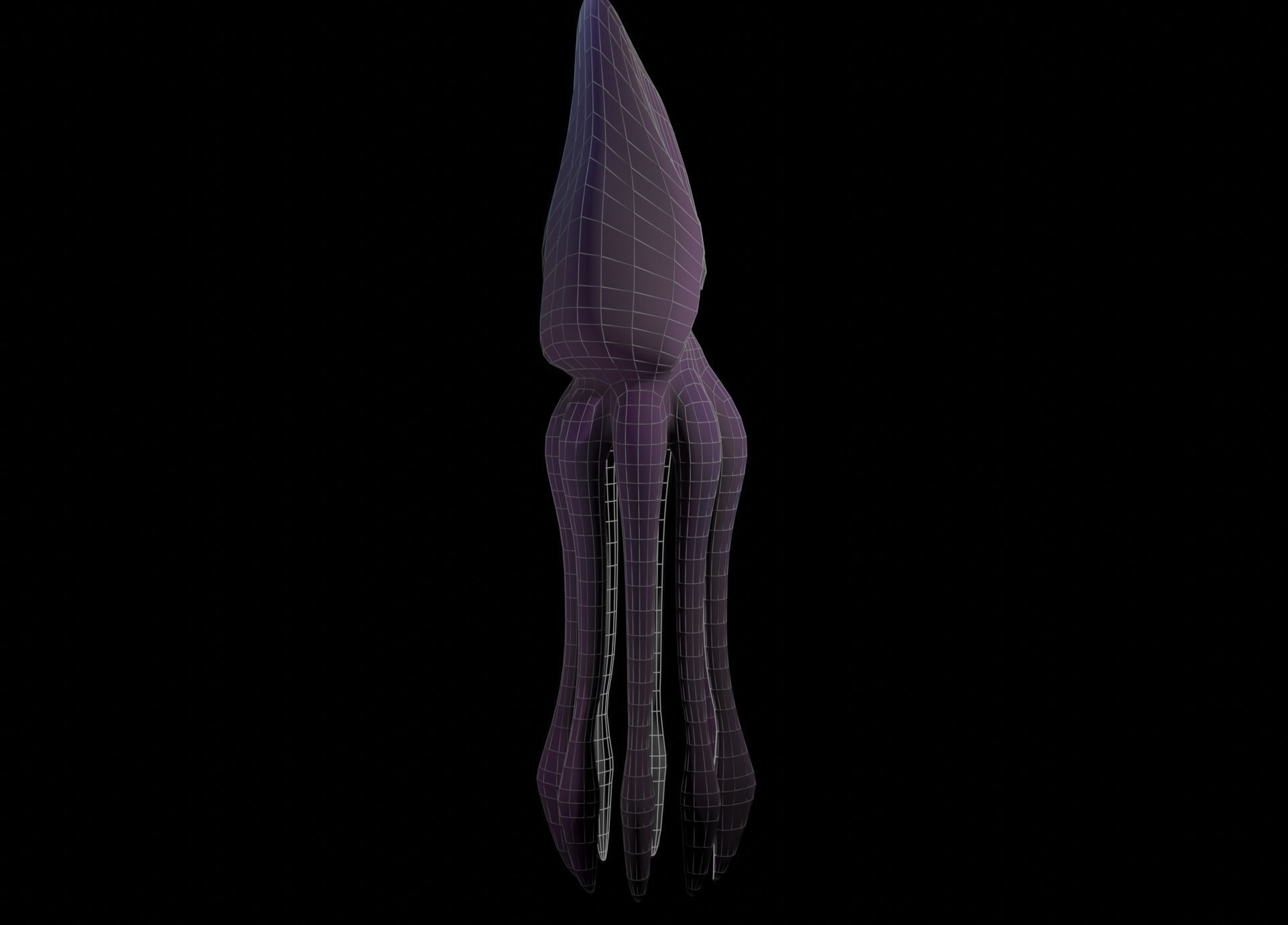 Low Poly Giant Squid Low-poly 3D model_39