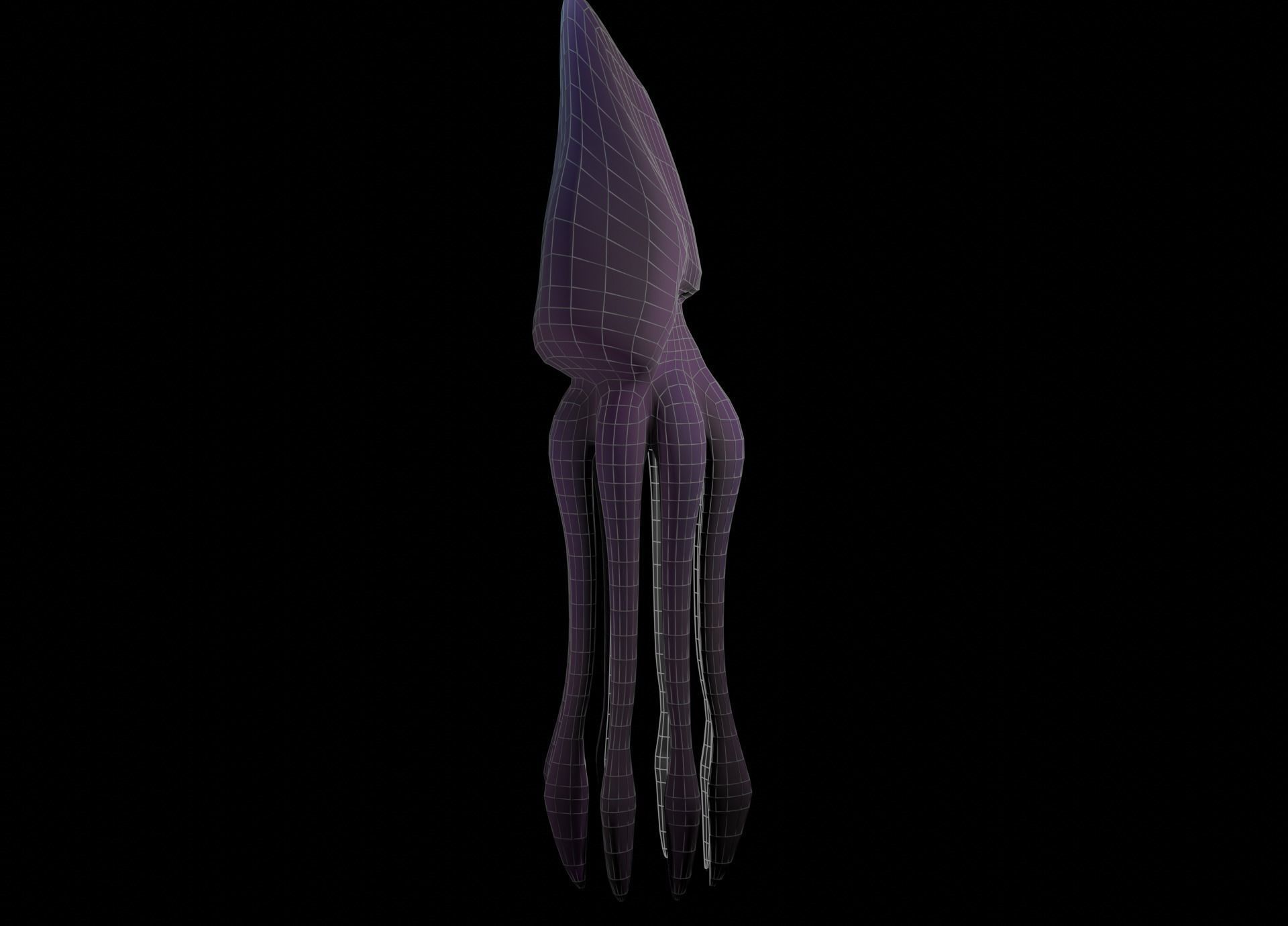 Low Poly Giant Squid Low-poly 3D model_38