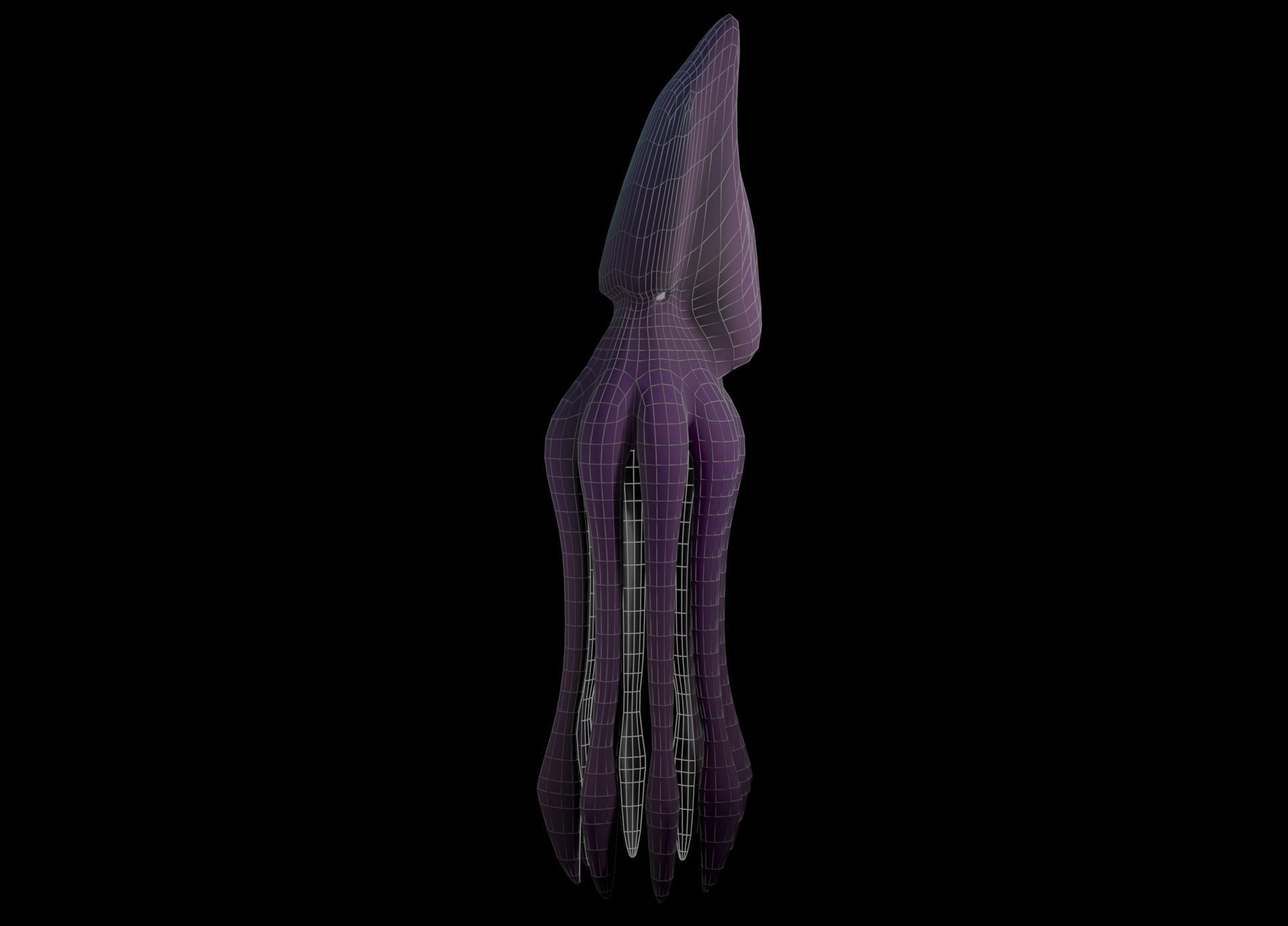 Low Poly Giant Squid Low-poly 3D model_50