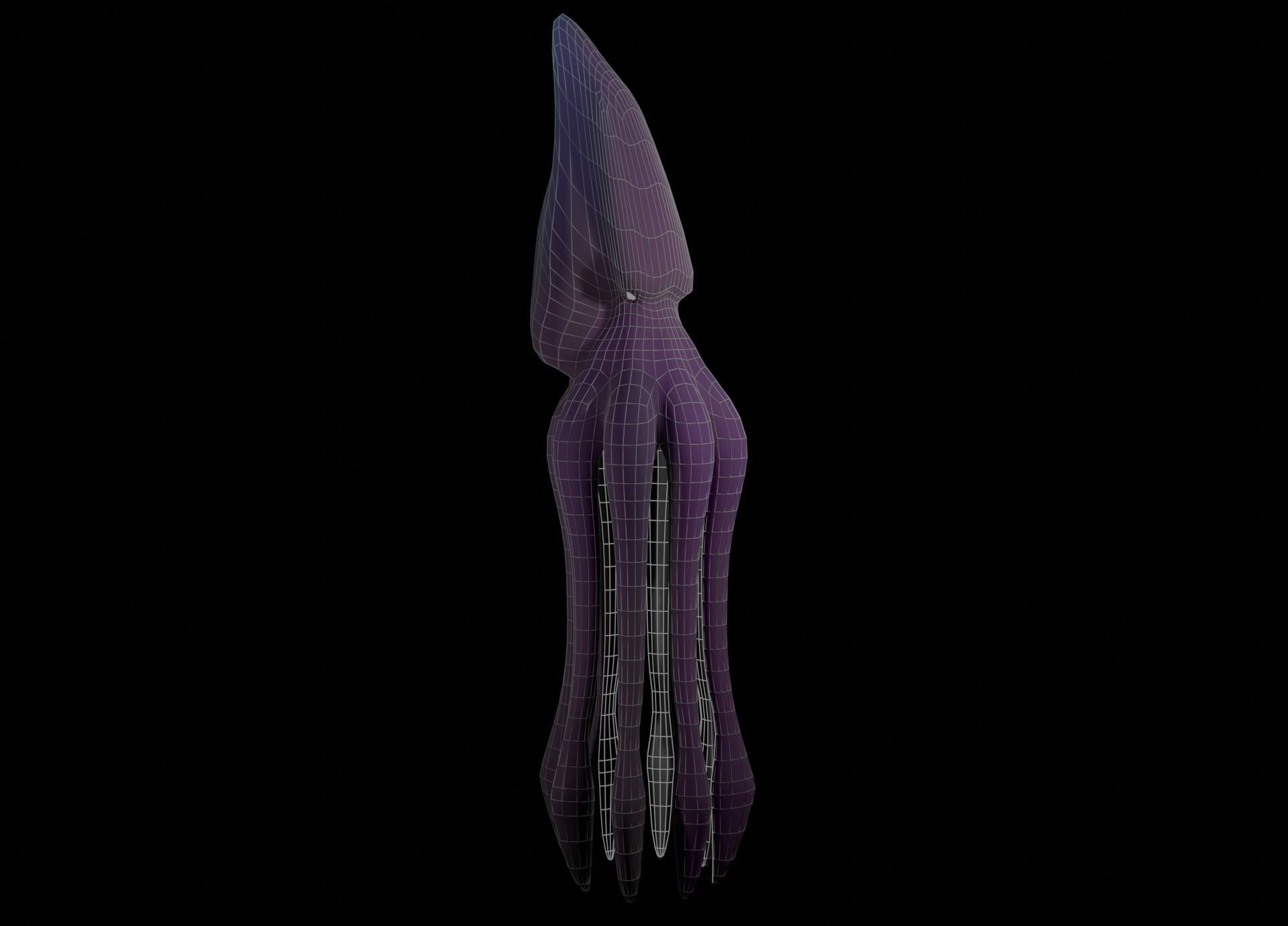 Low Poly Giant Squid Low-poly 3D model_32
