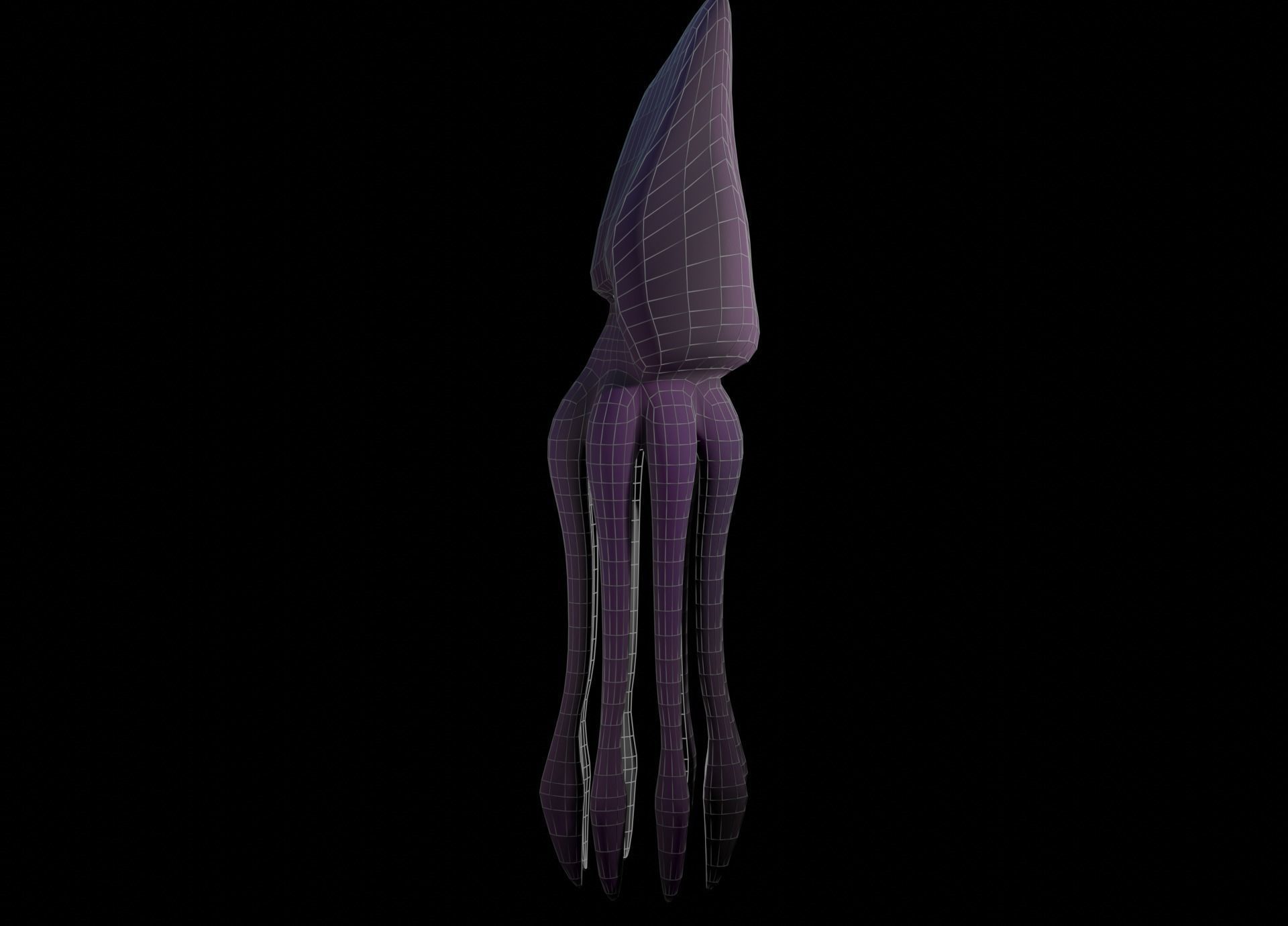 Low Poly Giant Squid Low-poly 3D model_44