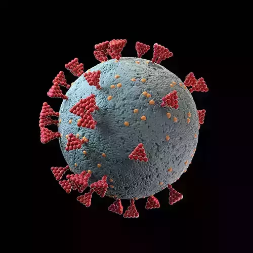 Coronavirus Covid19 with LODs