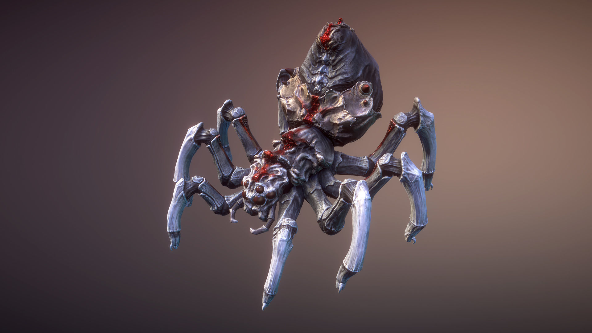 Spiders pack Low-poly 3D model_2