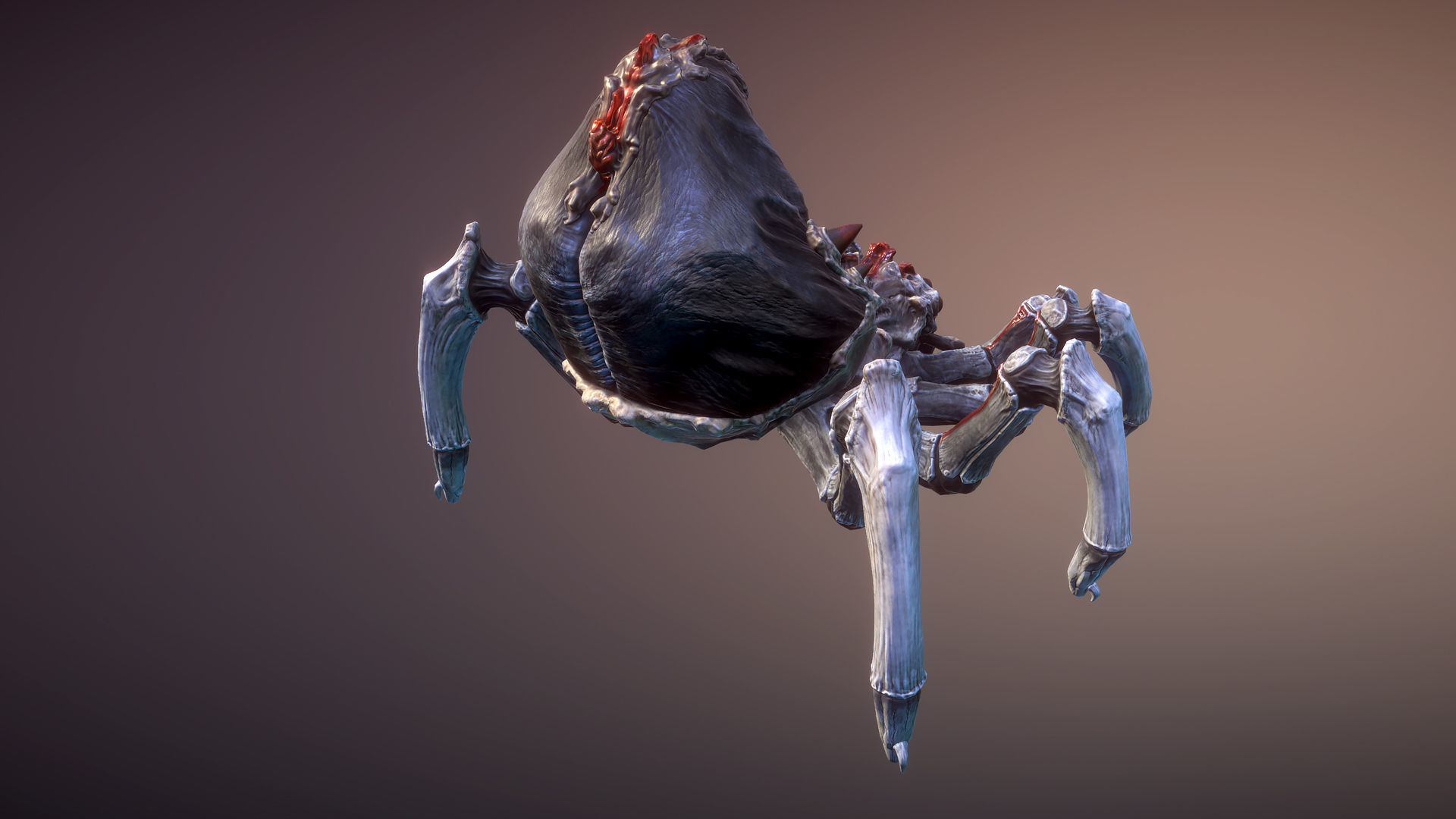 Spiders pack Low-poly 3D model_3