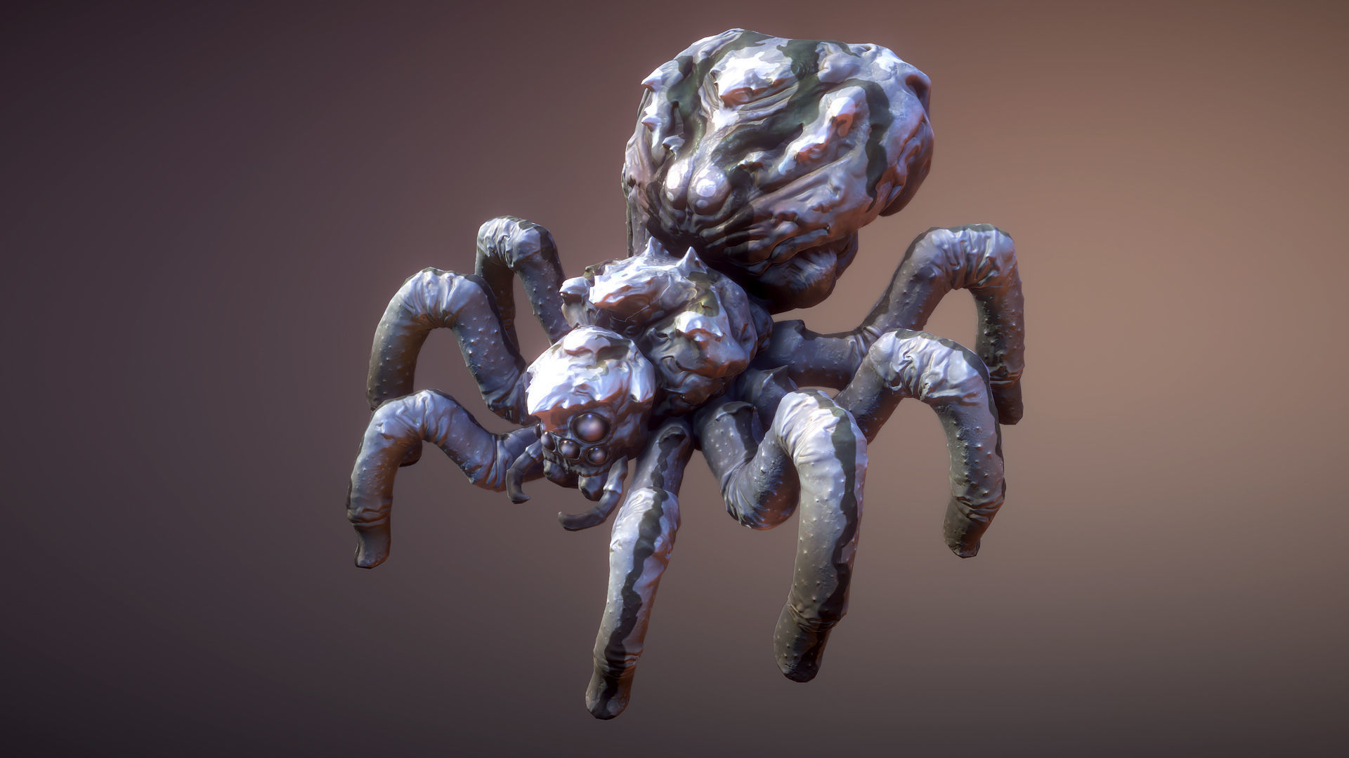 Spiders pack Low-poly 3D model_4