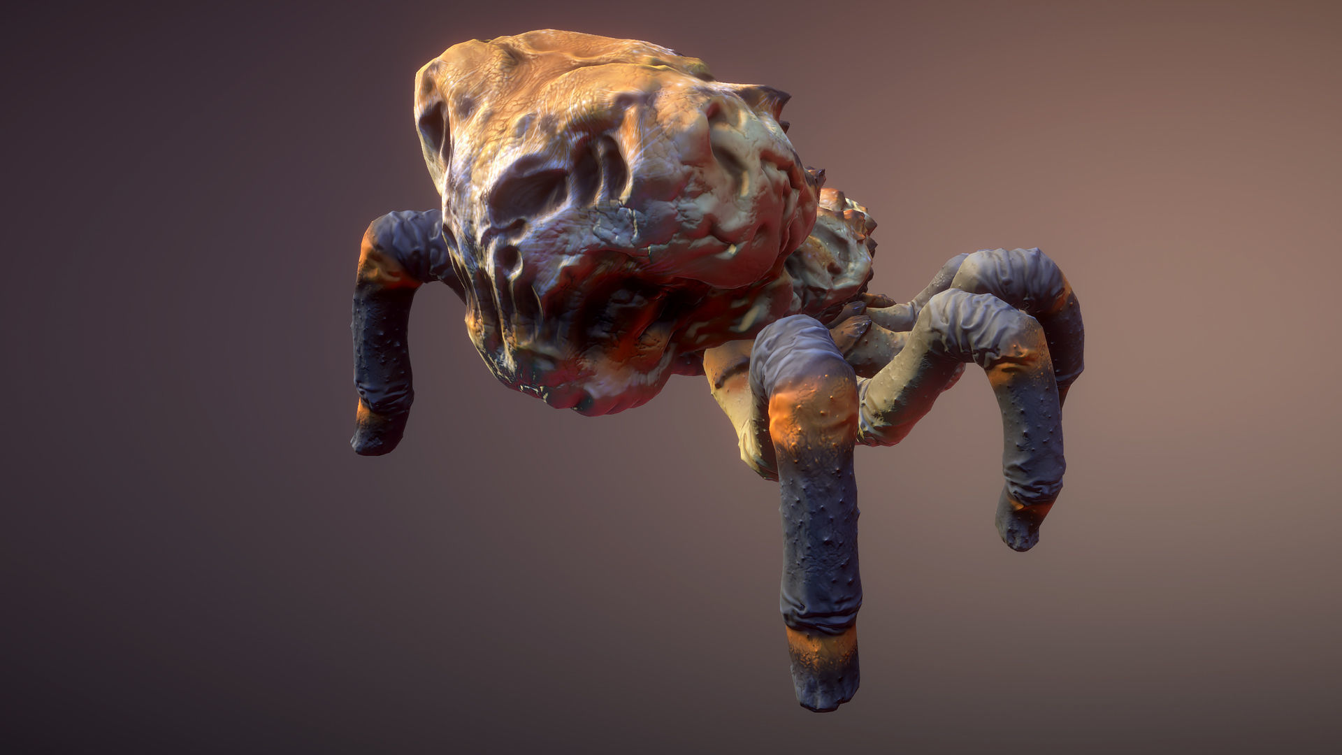 Spiders pack Low-poly 3D model_11