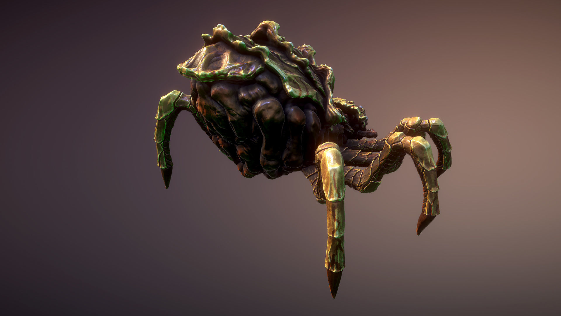 Spiders pack Low-poly 3D model_7